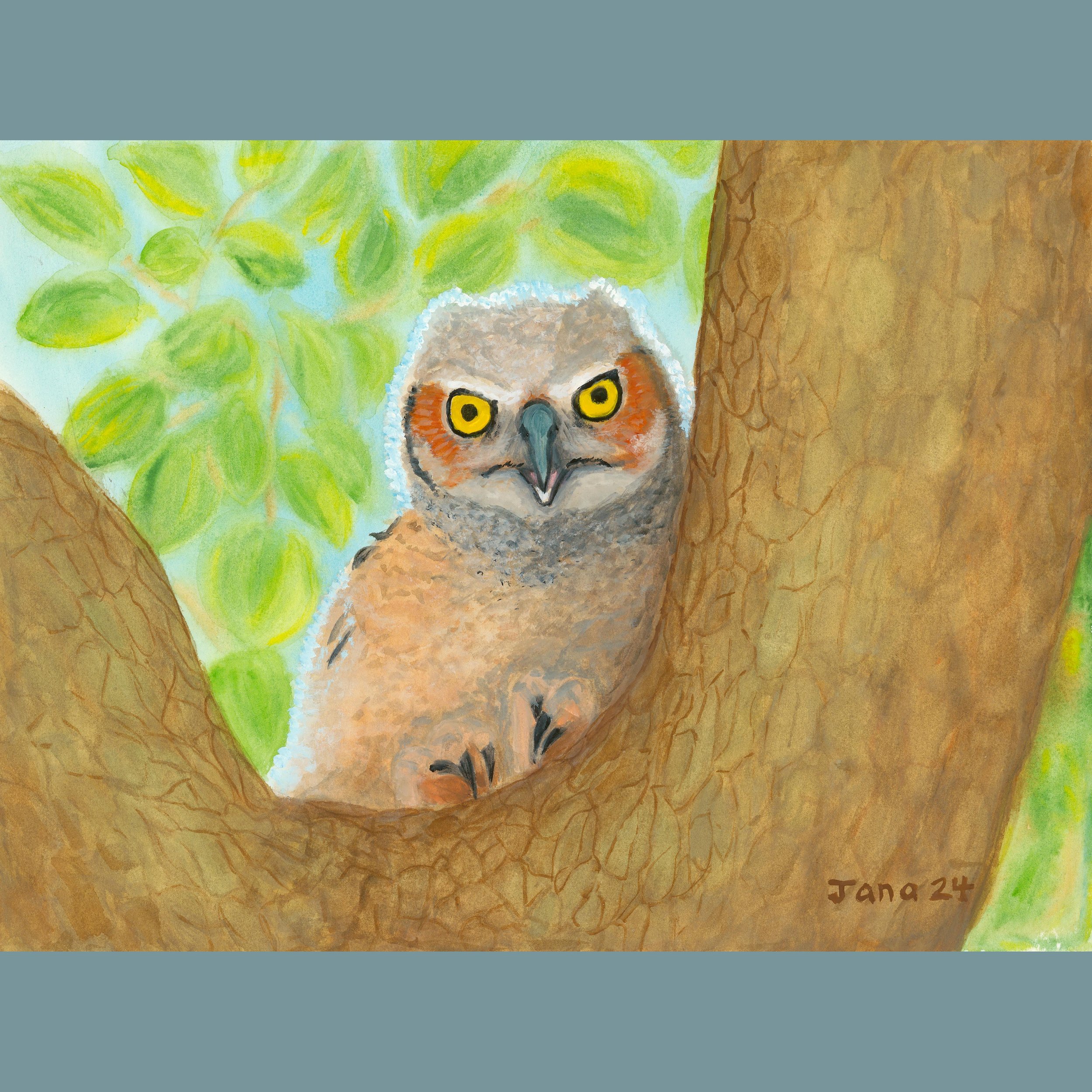 Whooo’s Your Mama