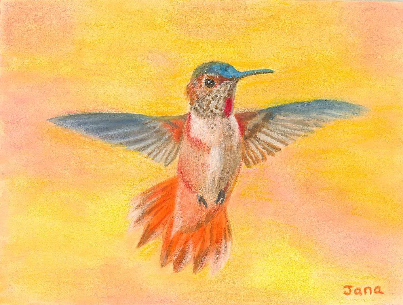 hummingbird_web.jpg