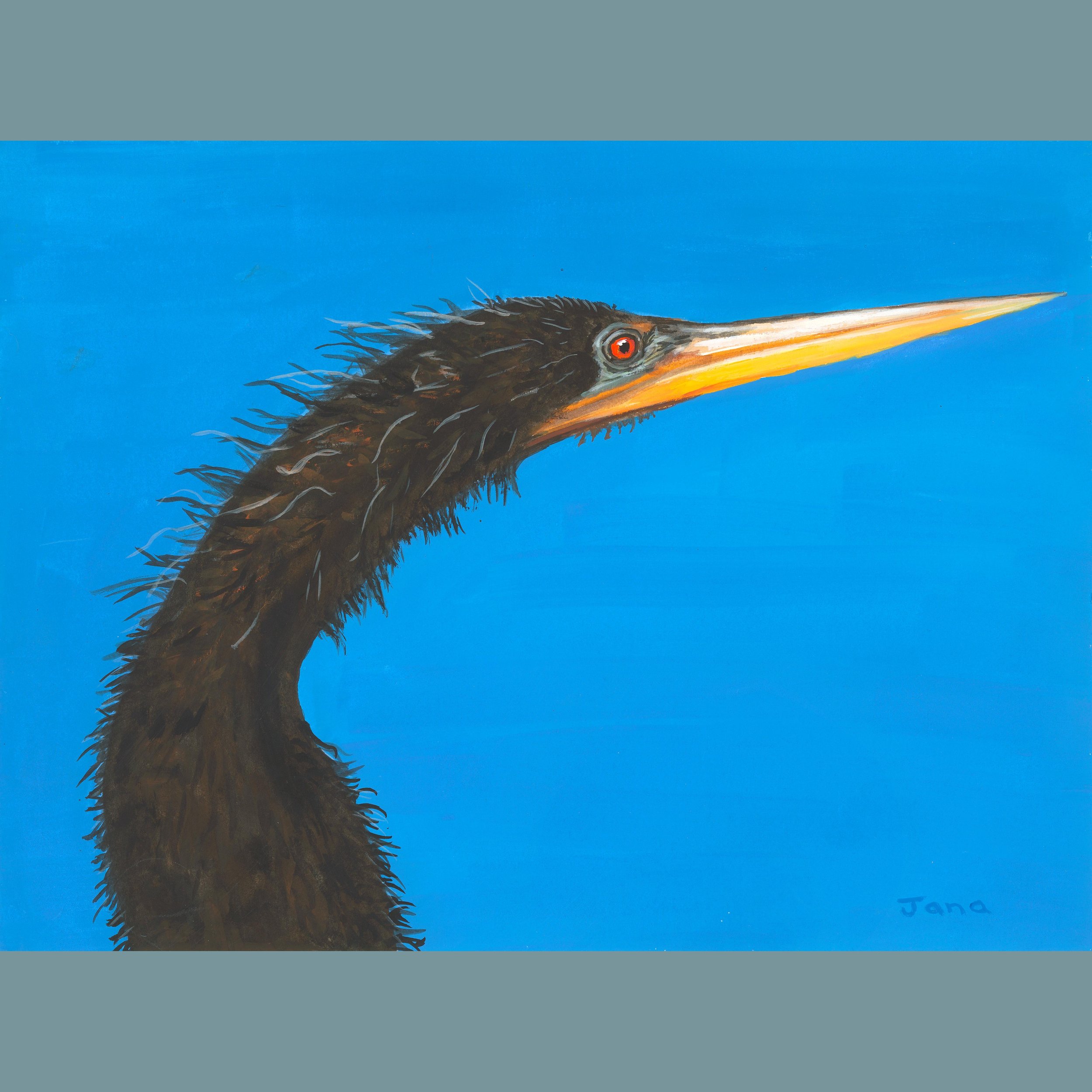 Snakebird Stare