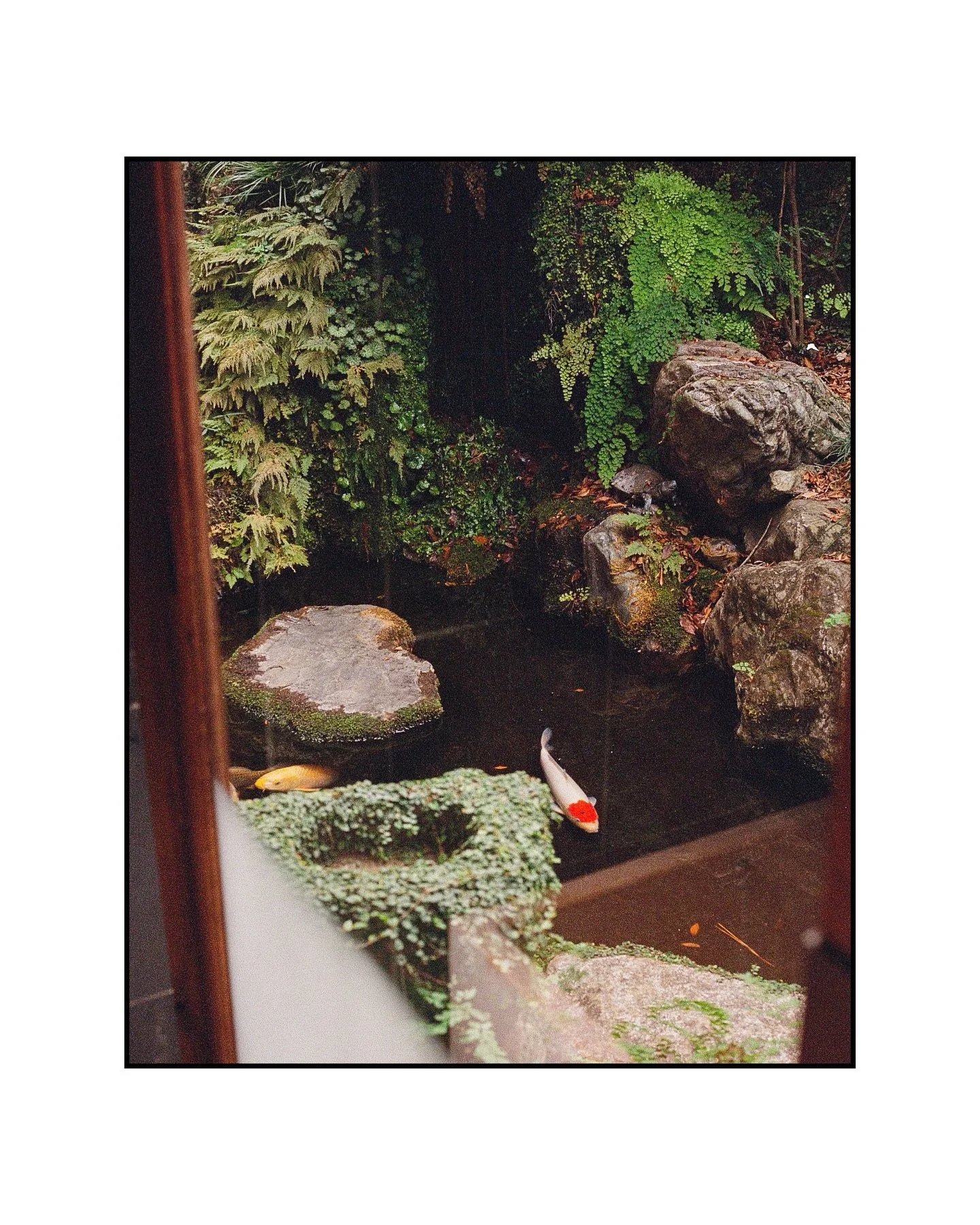 We were invited to join @thematchafreak on their annual visit to Japan&mdash;time set aside to drink tea, spend time with the generational producers behind it, and simply sit in reverence for the practice. 
Studio Who had the honor of documenting the