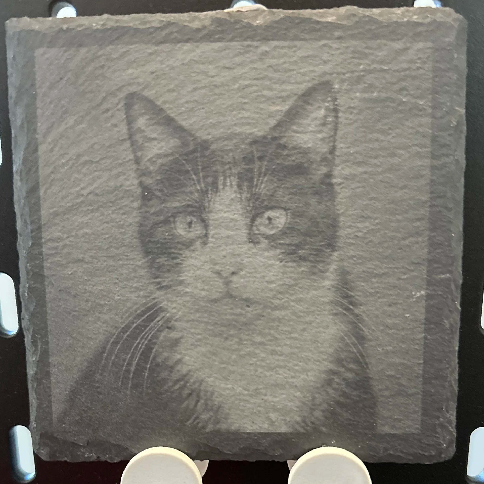A slate coaster engraved with a cat