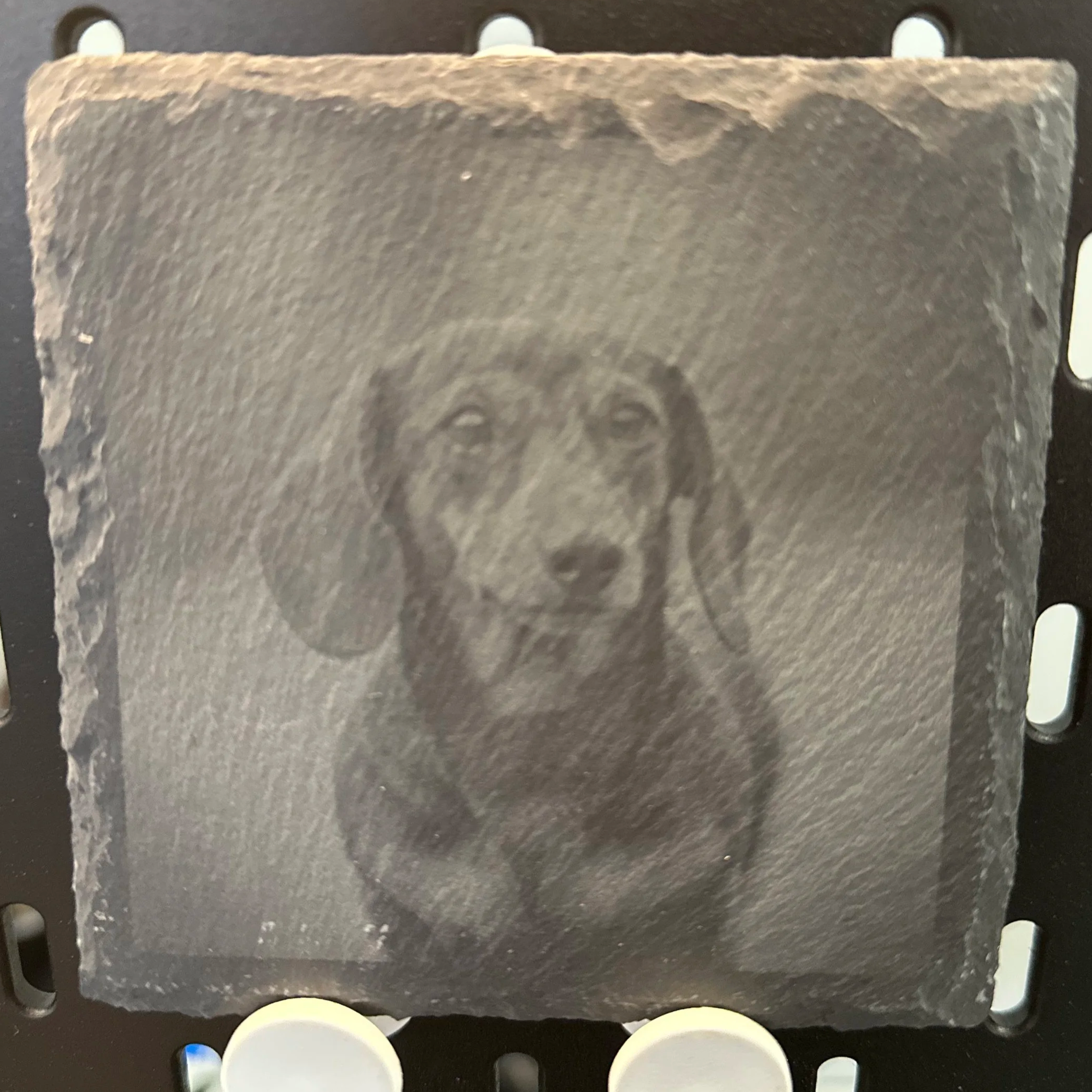 A slate coaster with a engraved picture of a dachshund on it