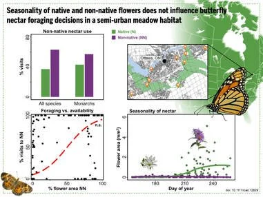 New paper alert!