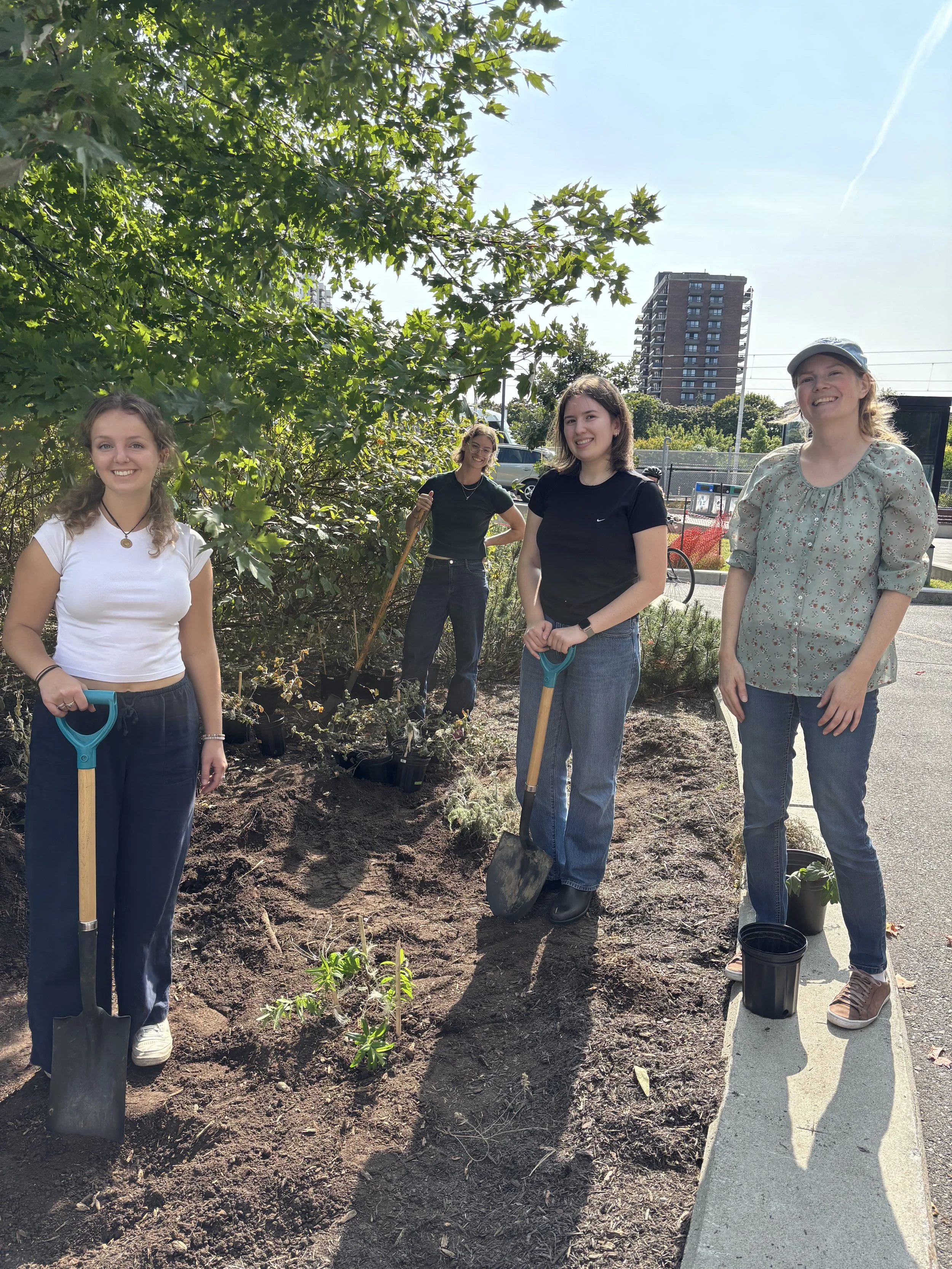 The start of a new campus pollinator garden…