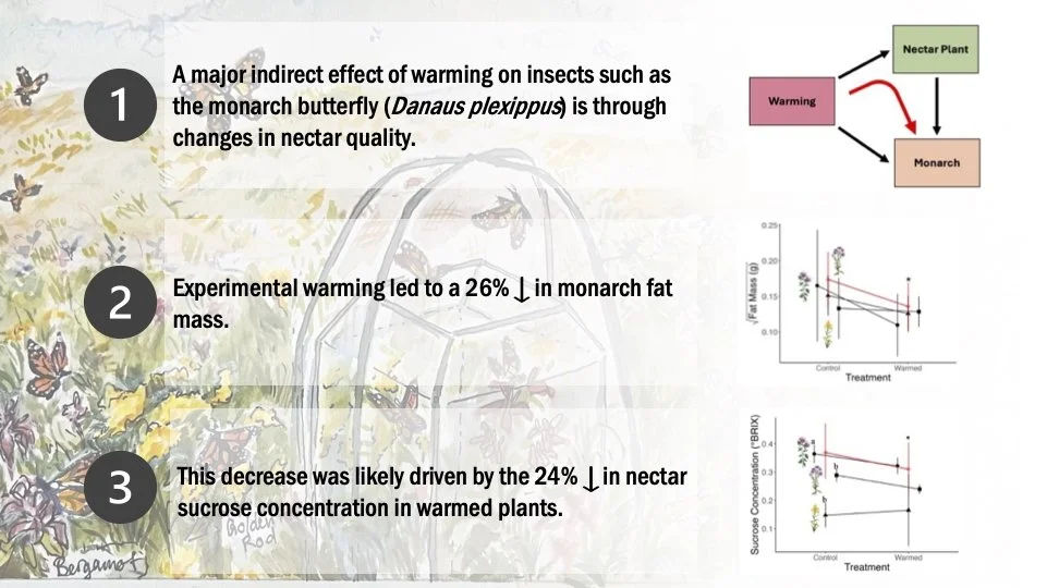 New paper alert!