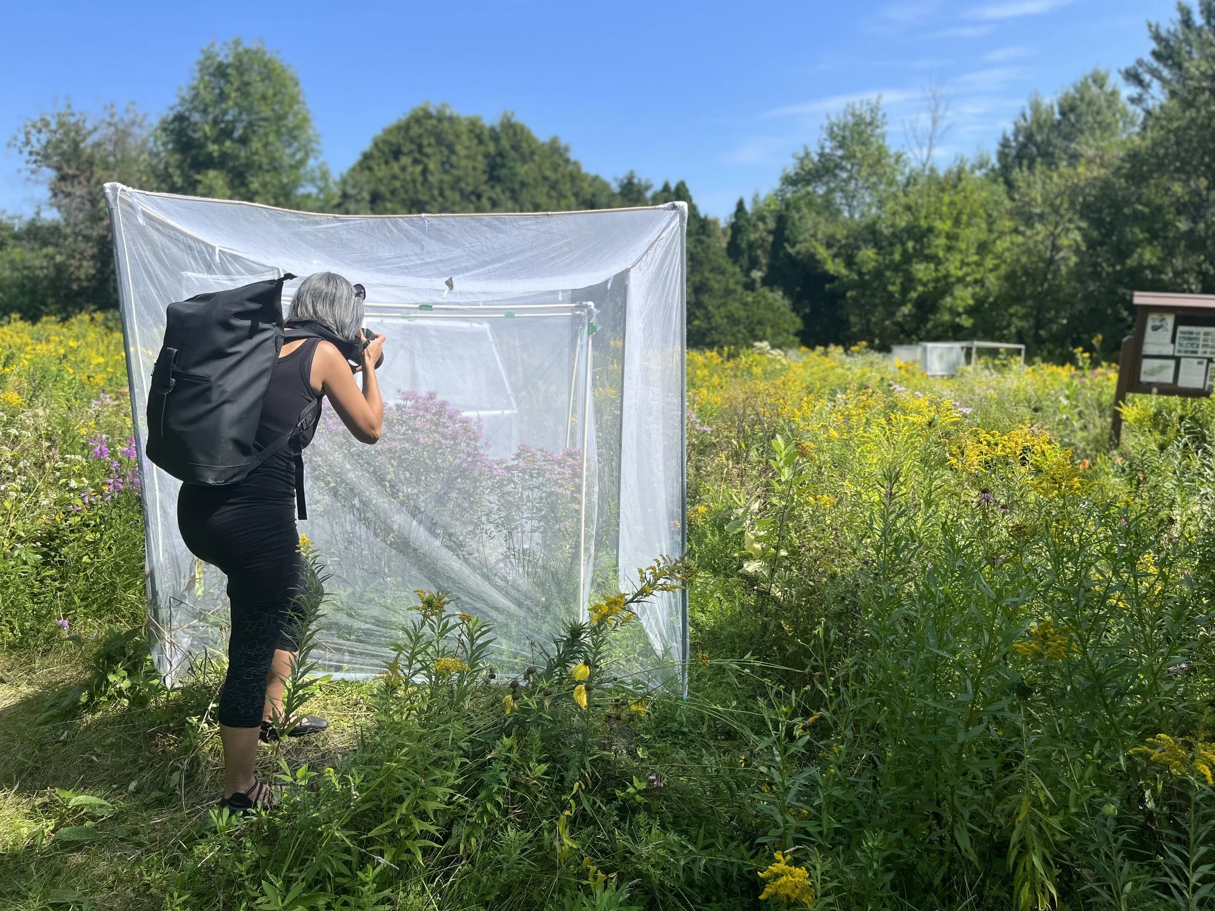 New article about Artist-in-Residence program
