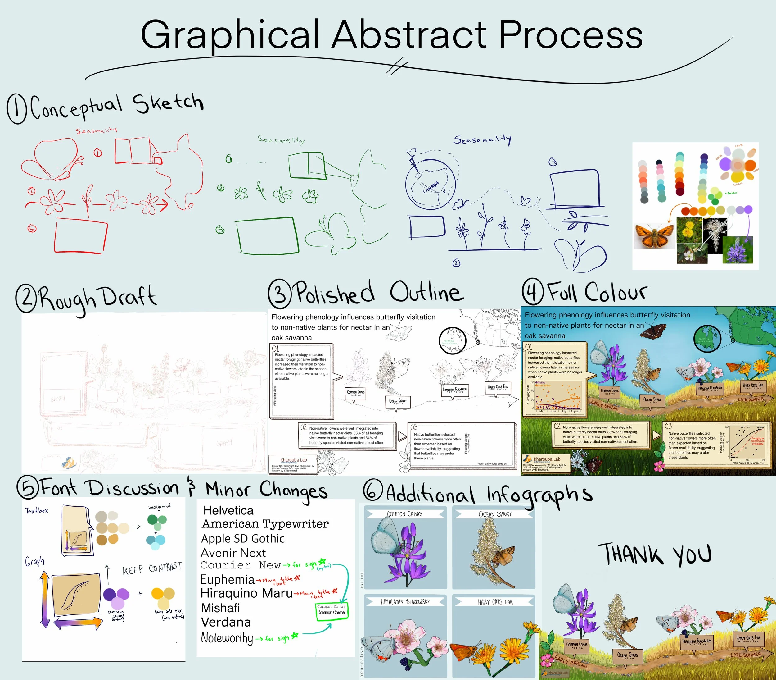 A detailed infographic illustrating the steps of a graphical abstract process, including conceptual sketching, rough draft, polished outline, full color, font discussion with minor changes, and additional infographics, ending with a thank you note.