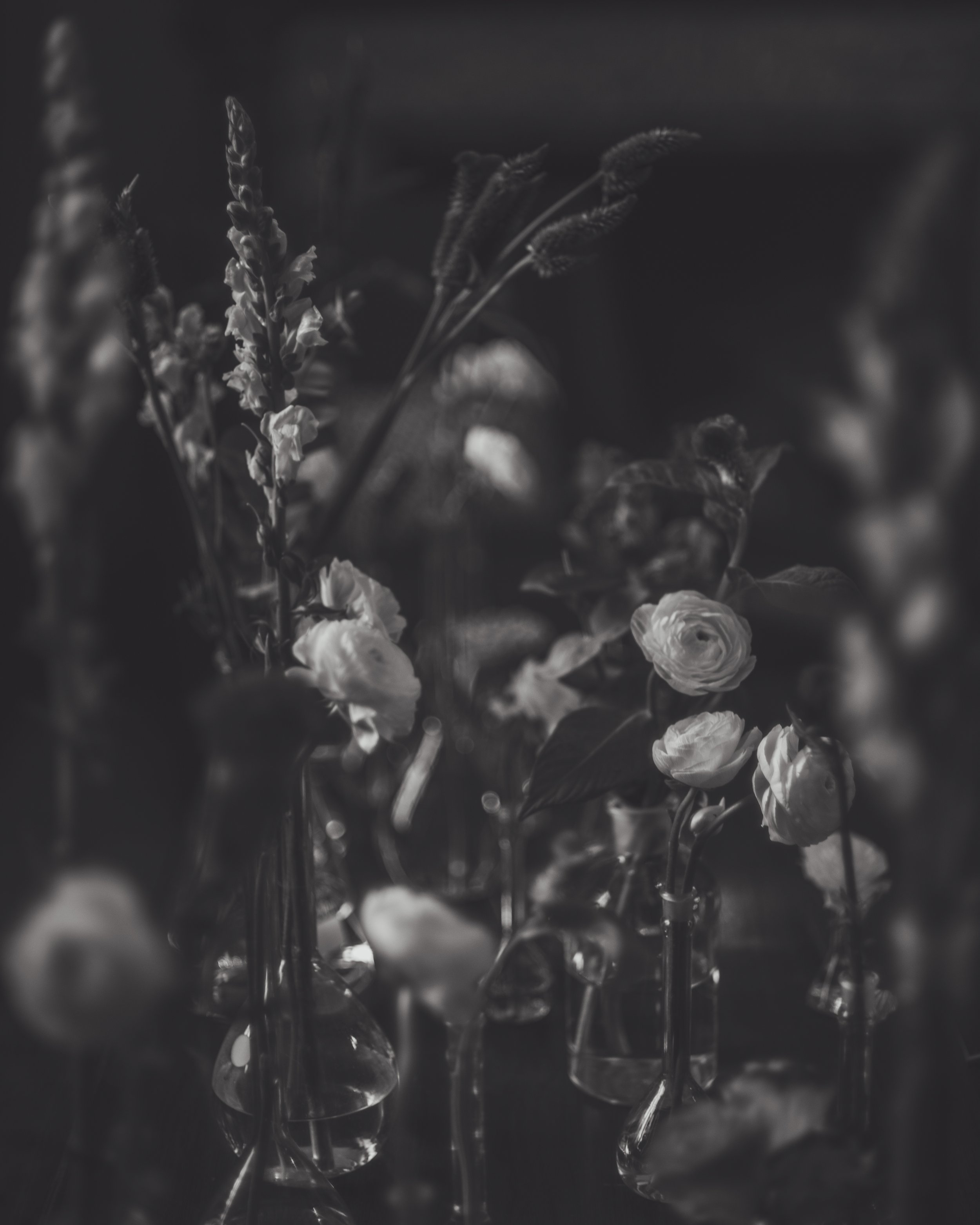 Sam&James B&W-110.jpeg