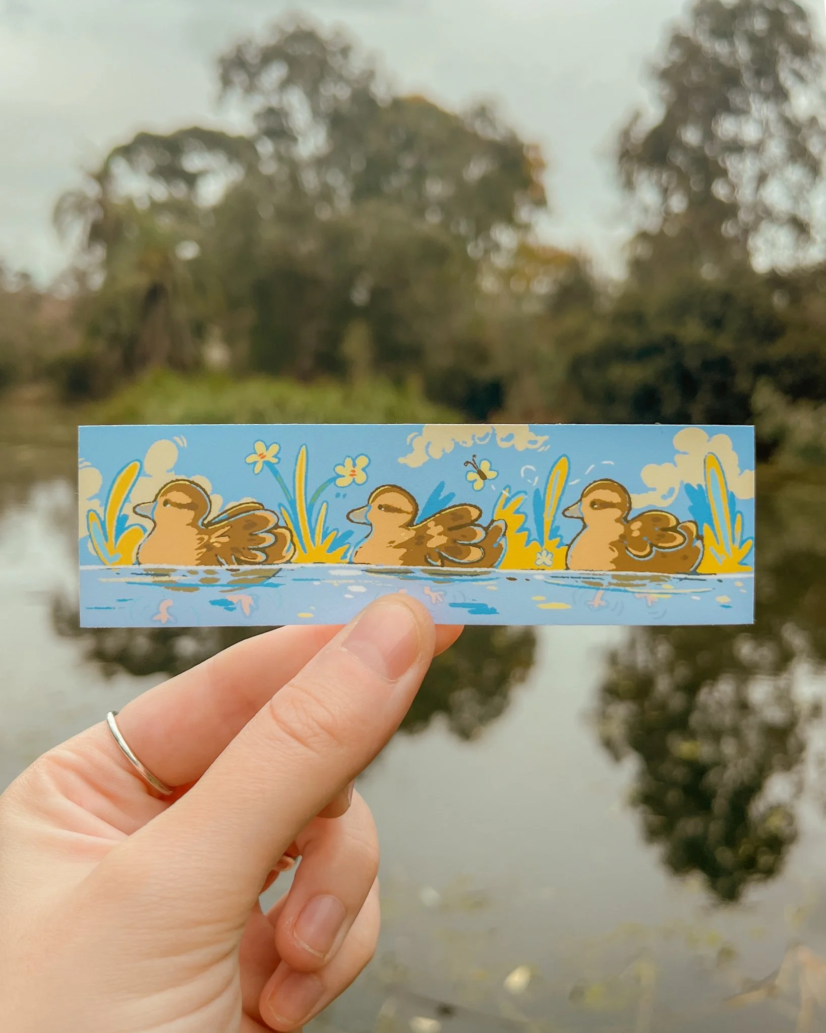 Ducks sticker