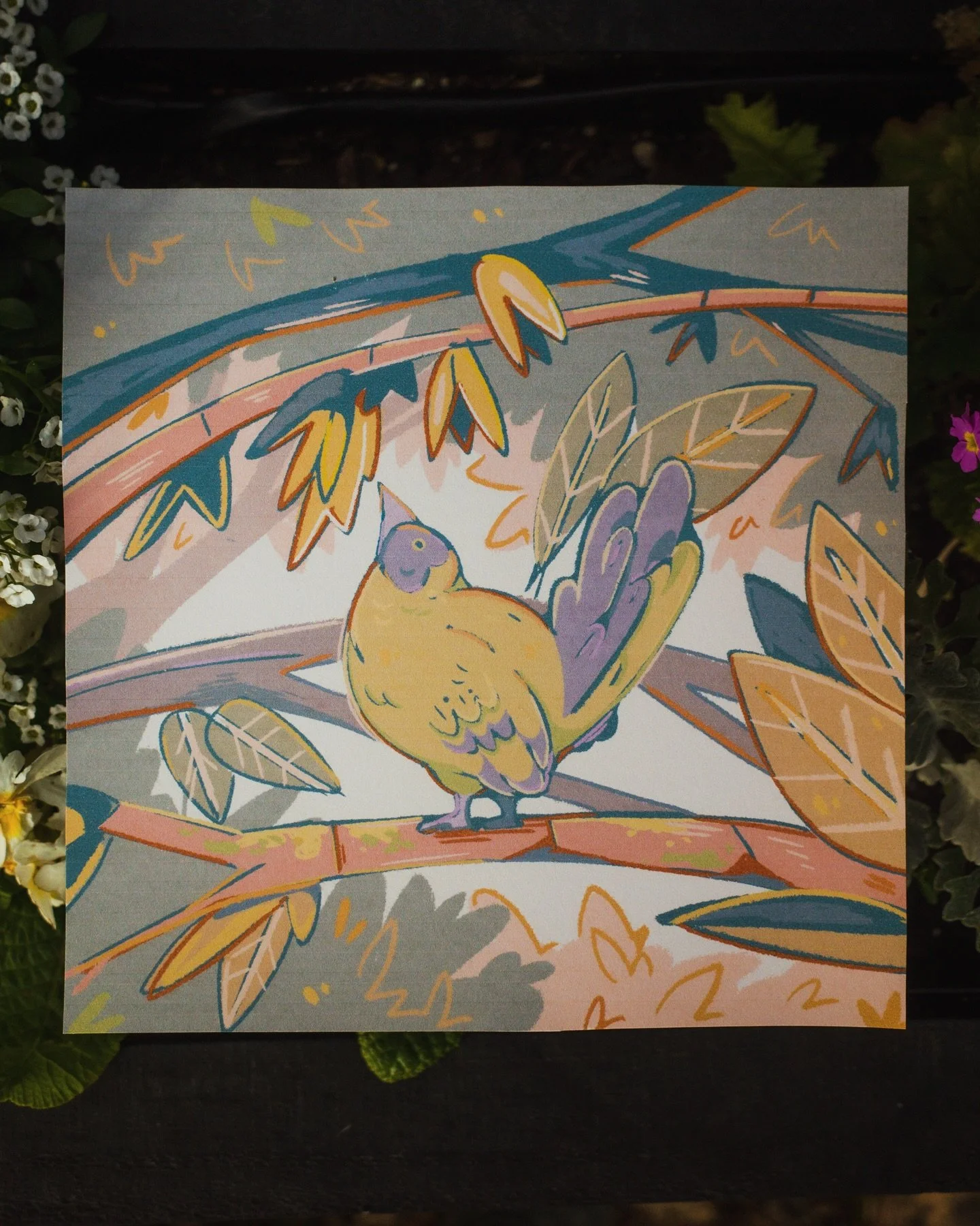 happy #birdoftheyear season!!! 🐦

i have done a few little illustrations of some of my favourite birdies to share over the next couple of weeks! 

I fell in love with the korimako over at Tiritiri Matangi around this time last year - a very good bir