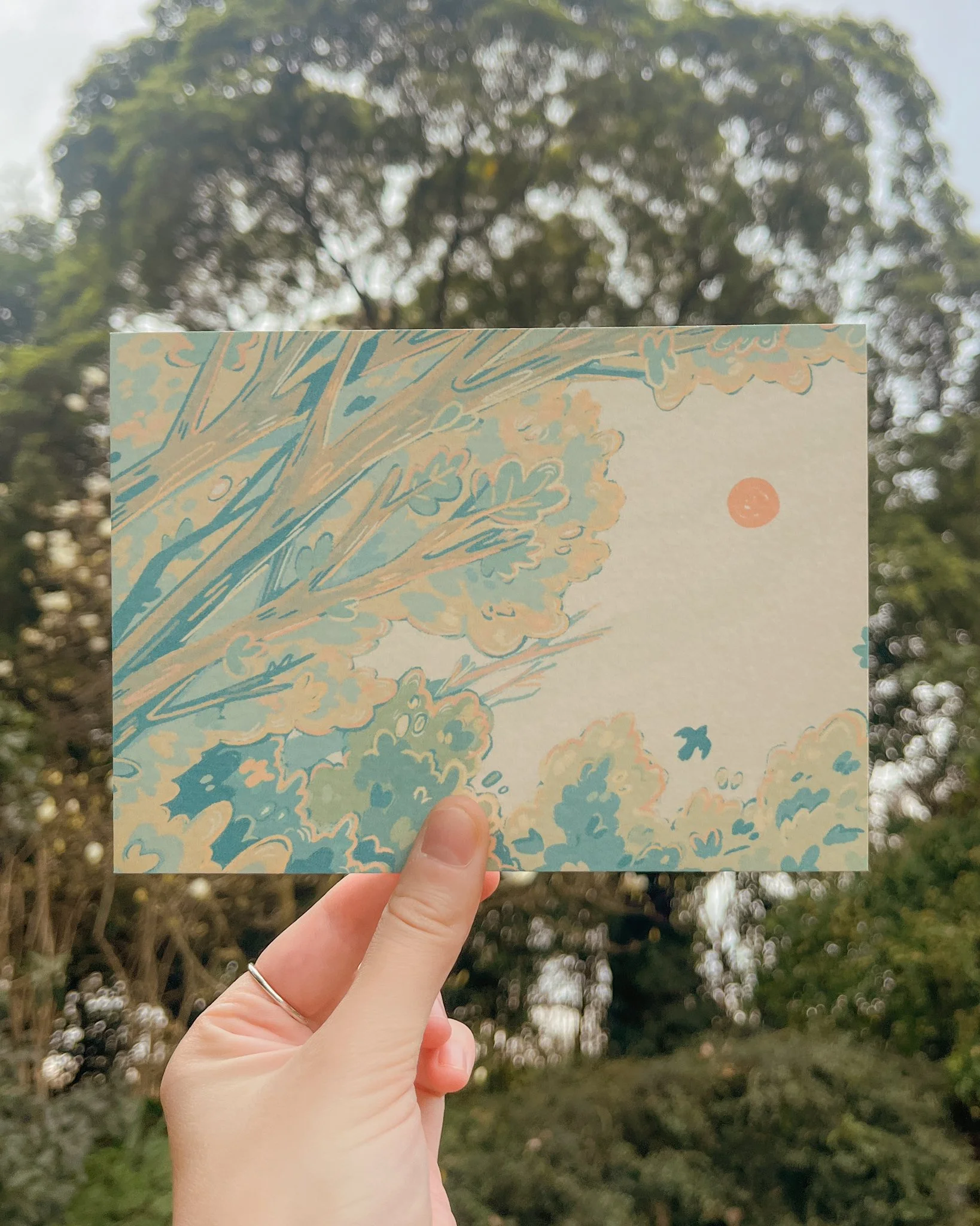 Treetops postcard