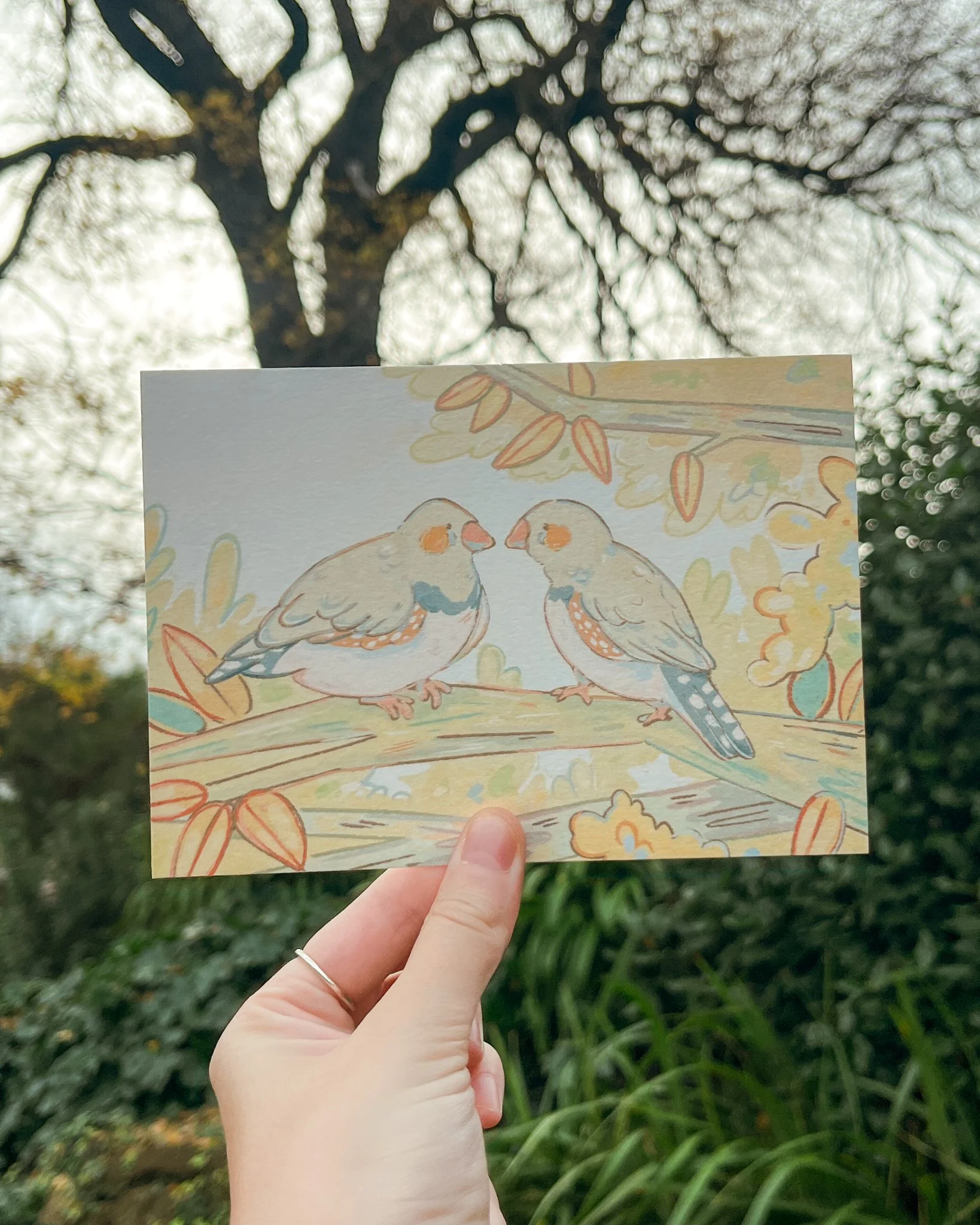 Lovebirds postcard