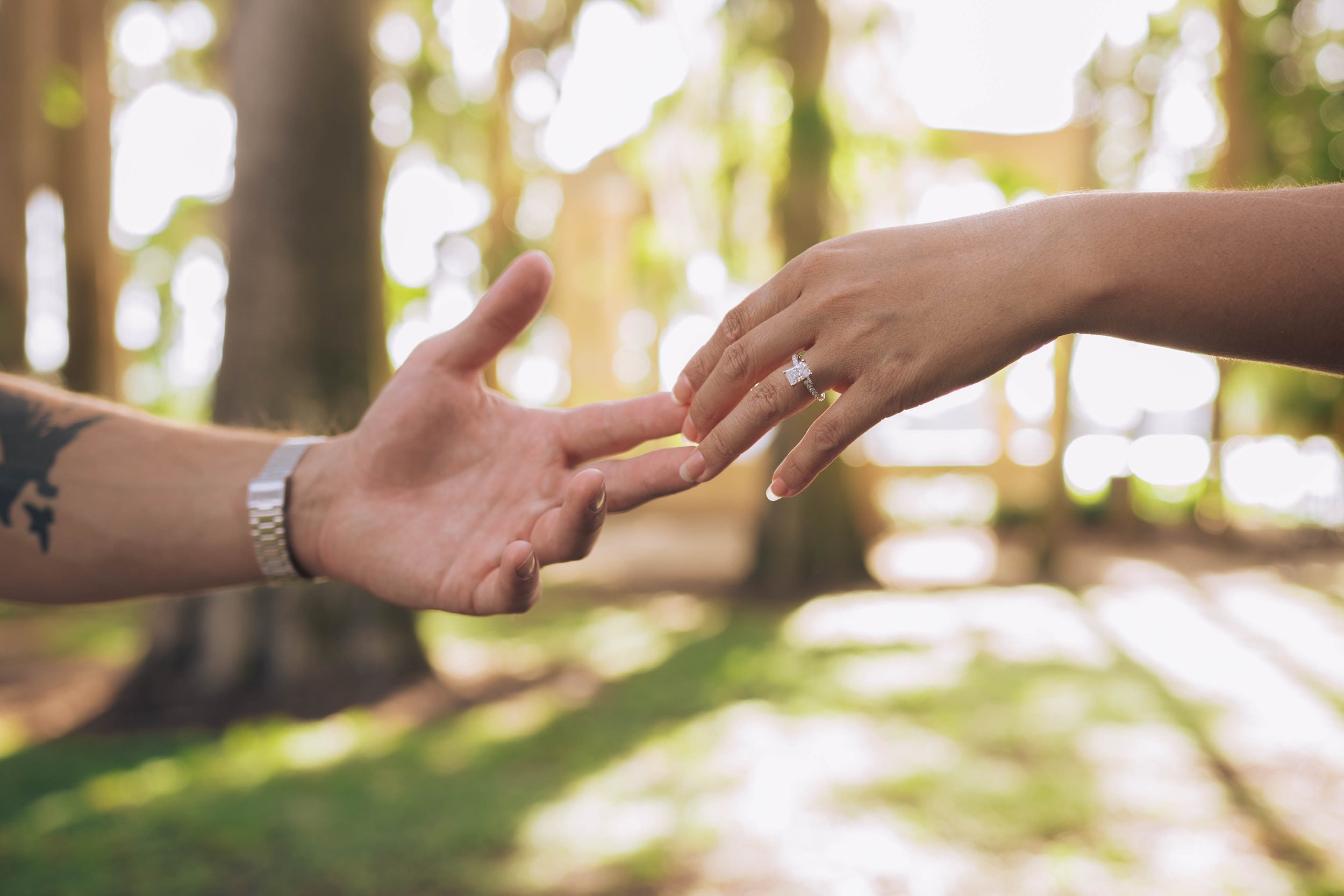 A close-up of two hands reaching towards each other in an outdoor setting with trees and sunlight in the background. One hand has a diamond engagement ring, and the other has a watch and tattoos.
