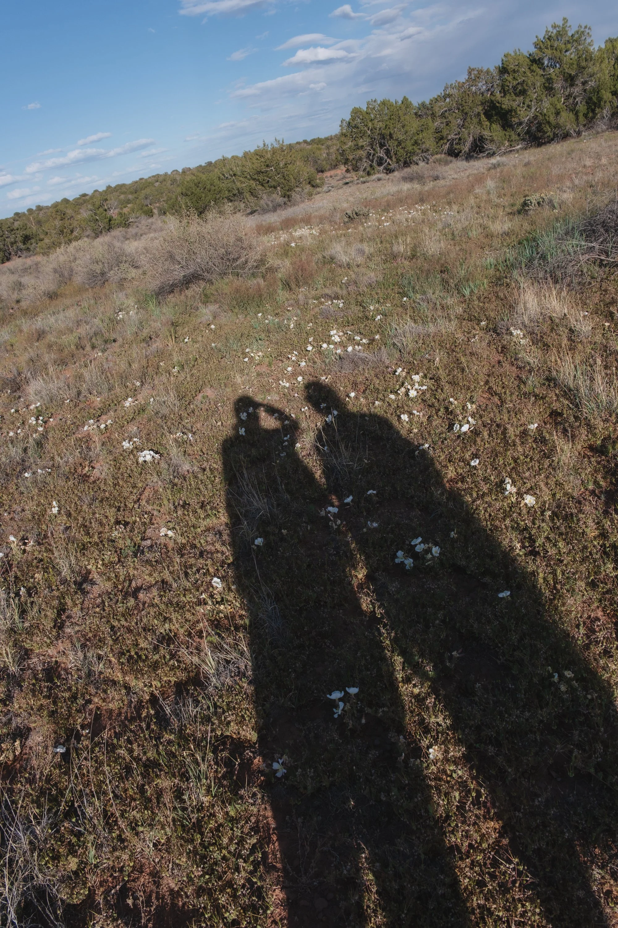 DSCF3562.jpg