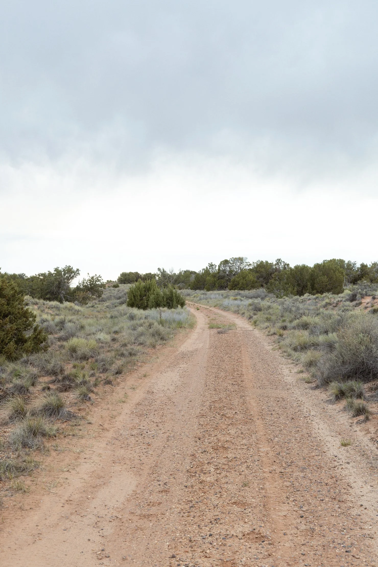 CHEYENNE ARNOLD EDITORIAL TRAVEL PHOTOGRAPHY20260501_9.jpg