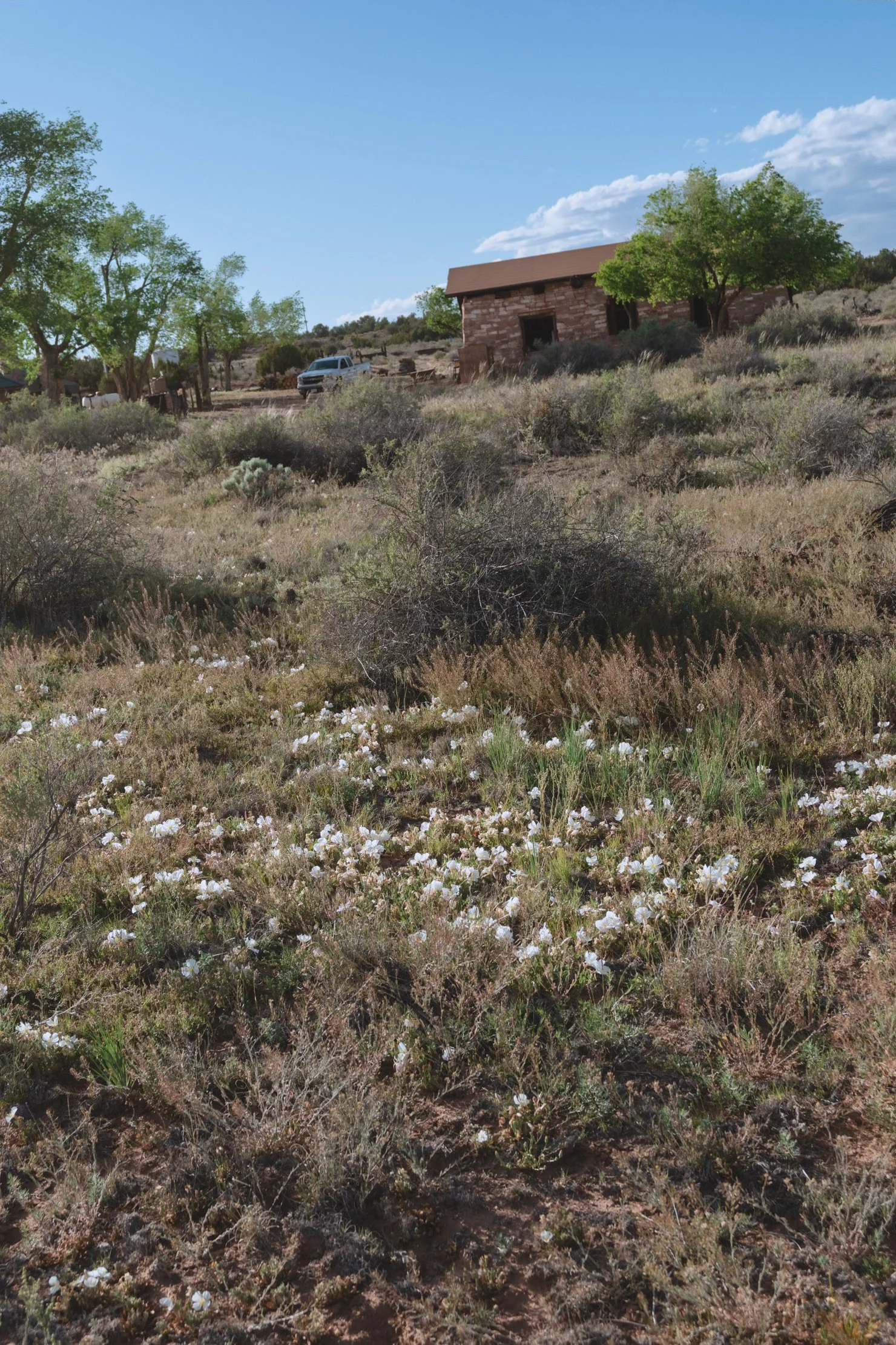 CHEYENNE ARNOLD EDITORIAL TRAVEL PHOTOGRAPHY20260501_4.jpg