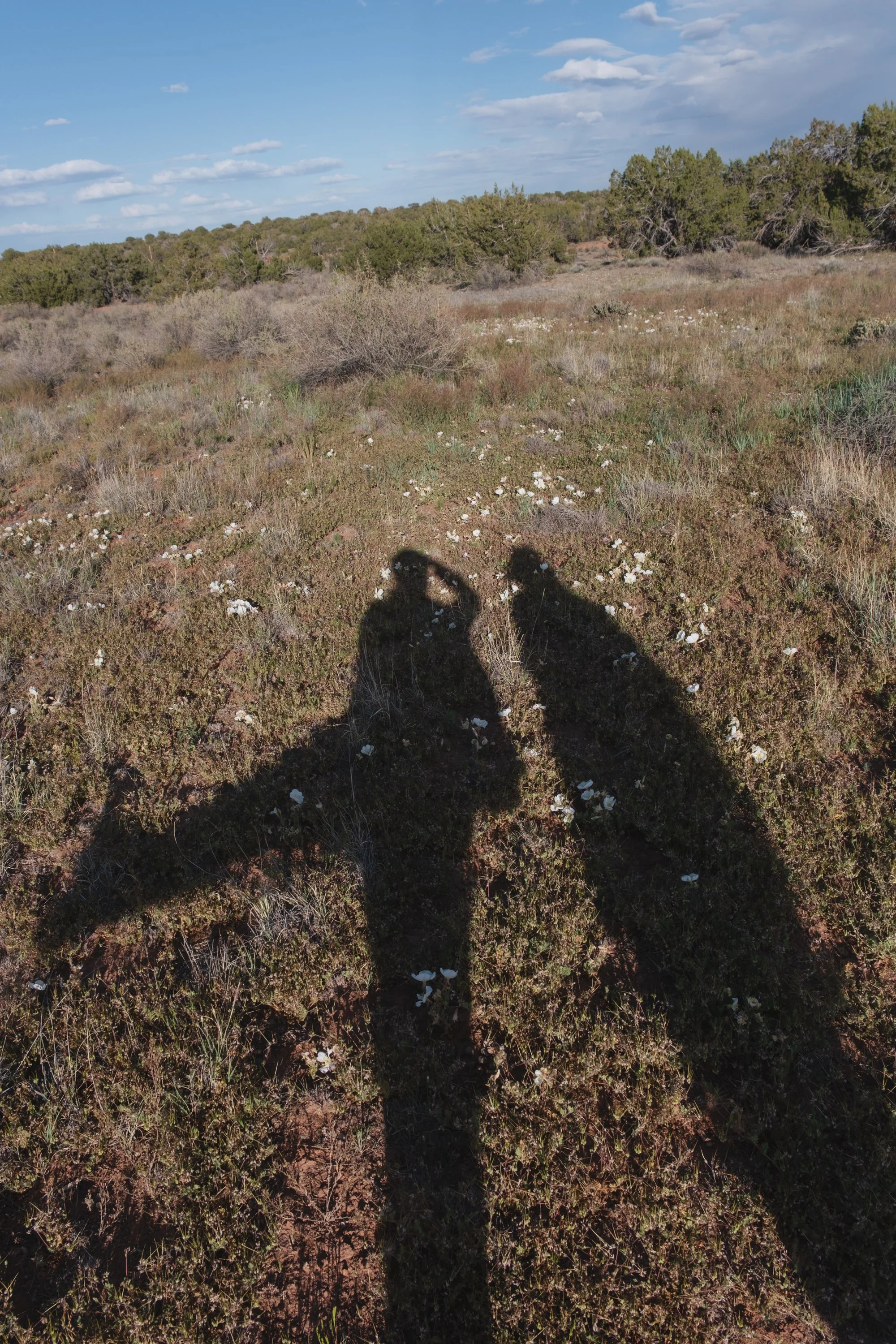 DSCF3564.jpg
