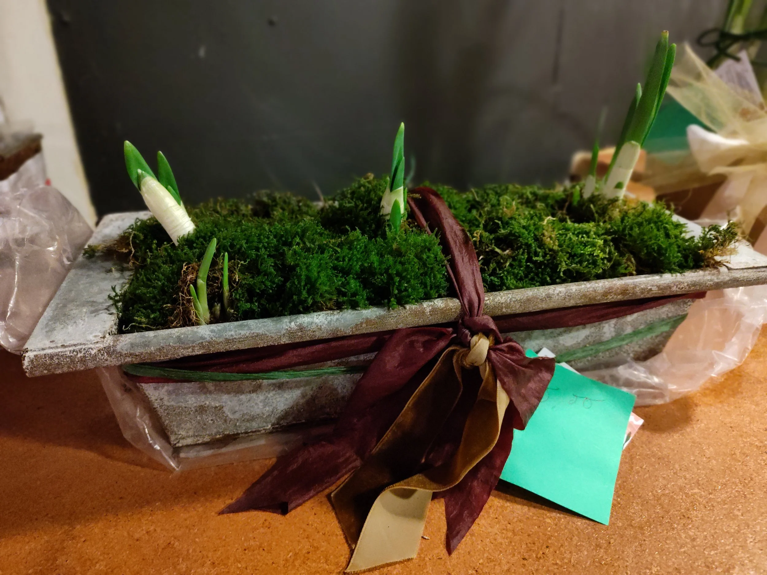 Lrg Tray with Moss and bulbs