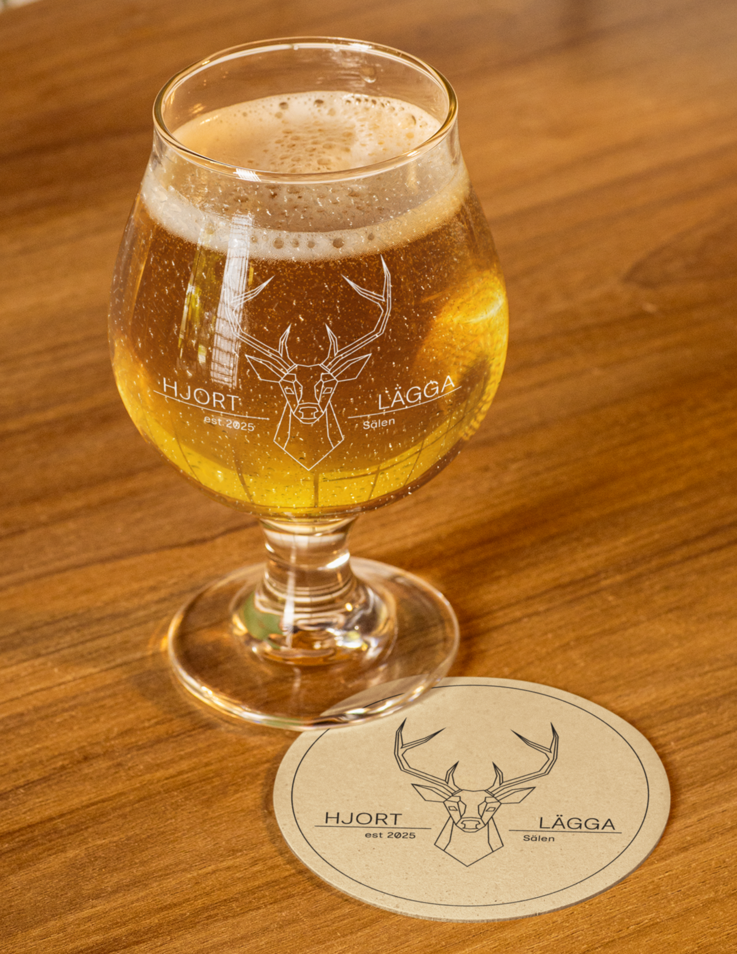 coaster-mockup-featuring-a-tulip-glass-filled-with-beer-m58063.png