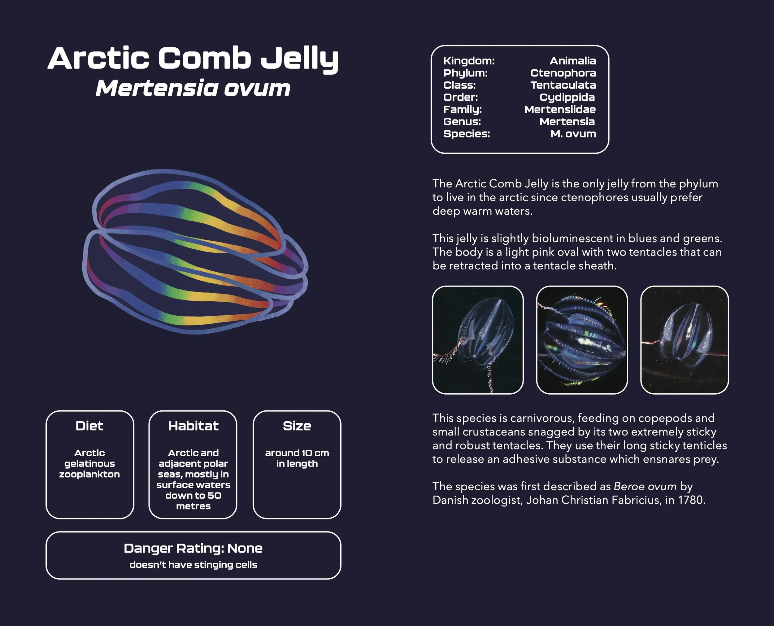 Jellyfish_Pocketbook10.jpg