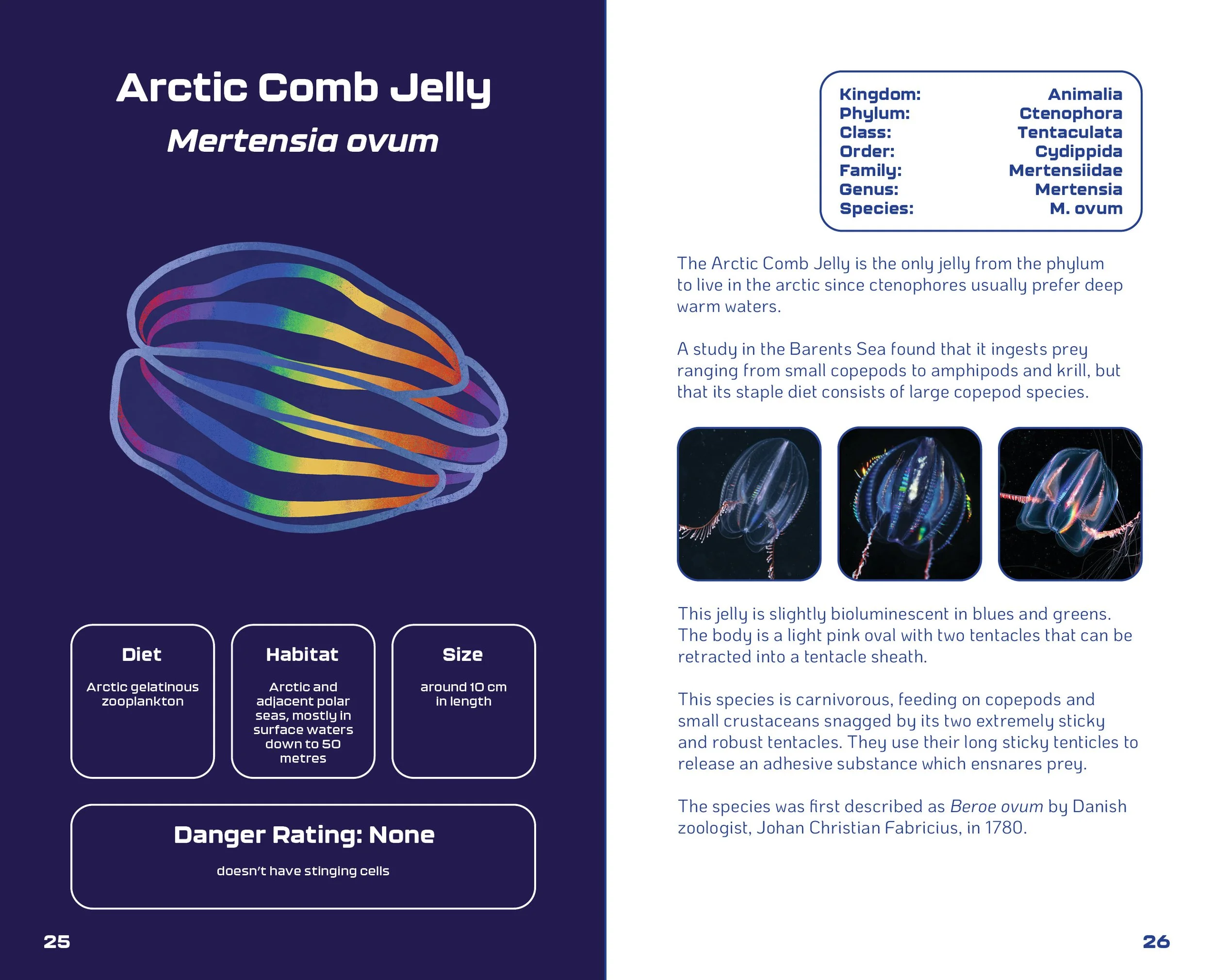 World of Jellyfish Slides14.jpg