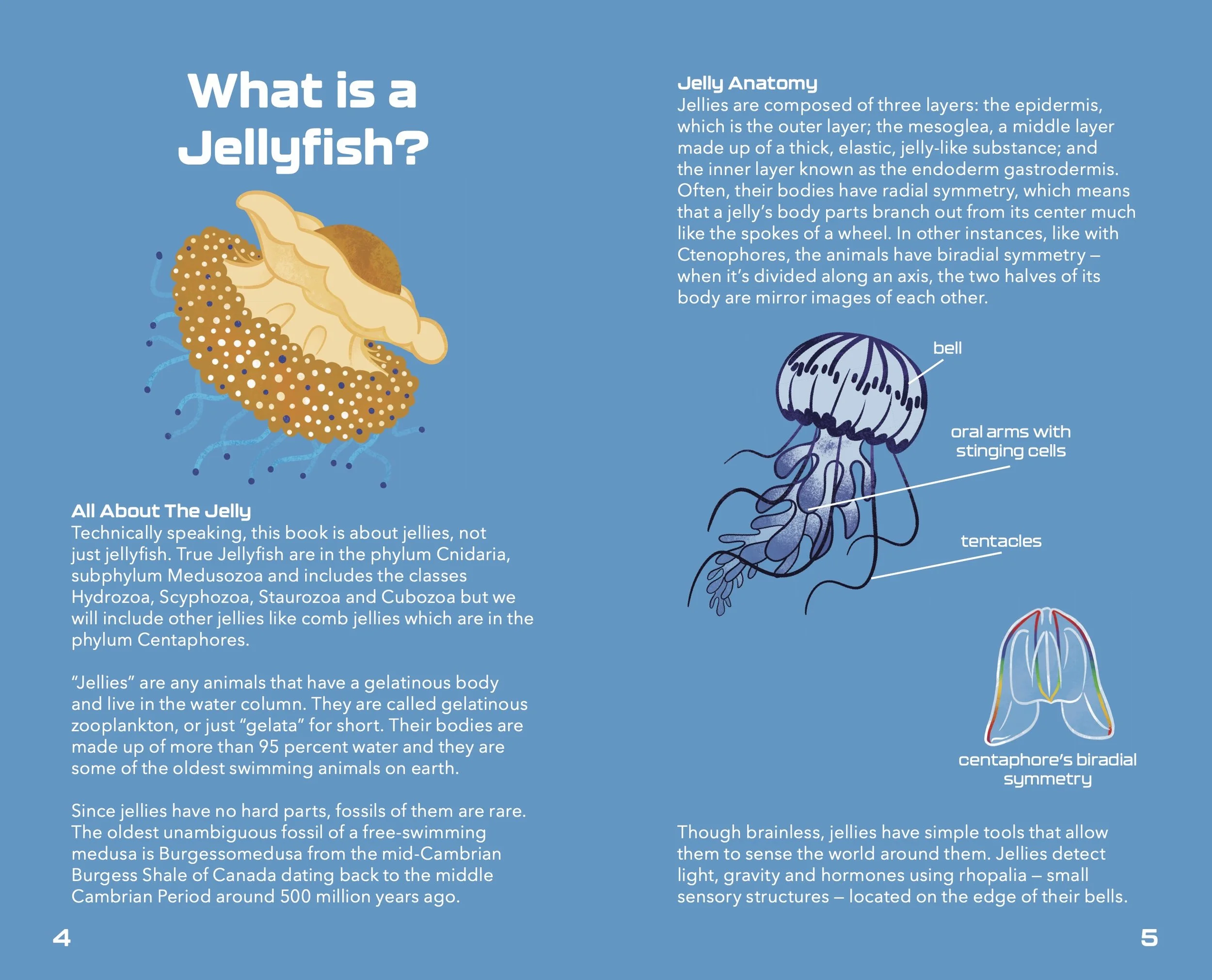 Jellyfish_Pocketbook2.jpg