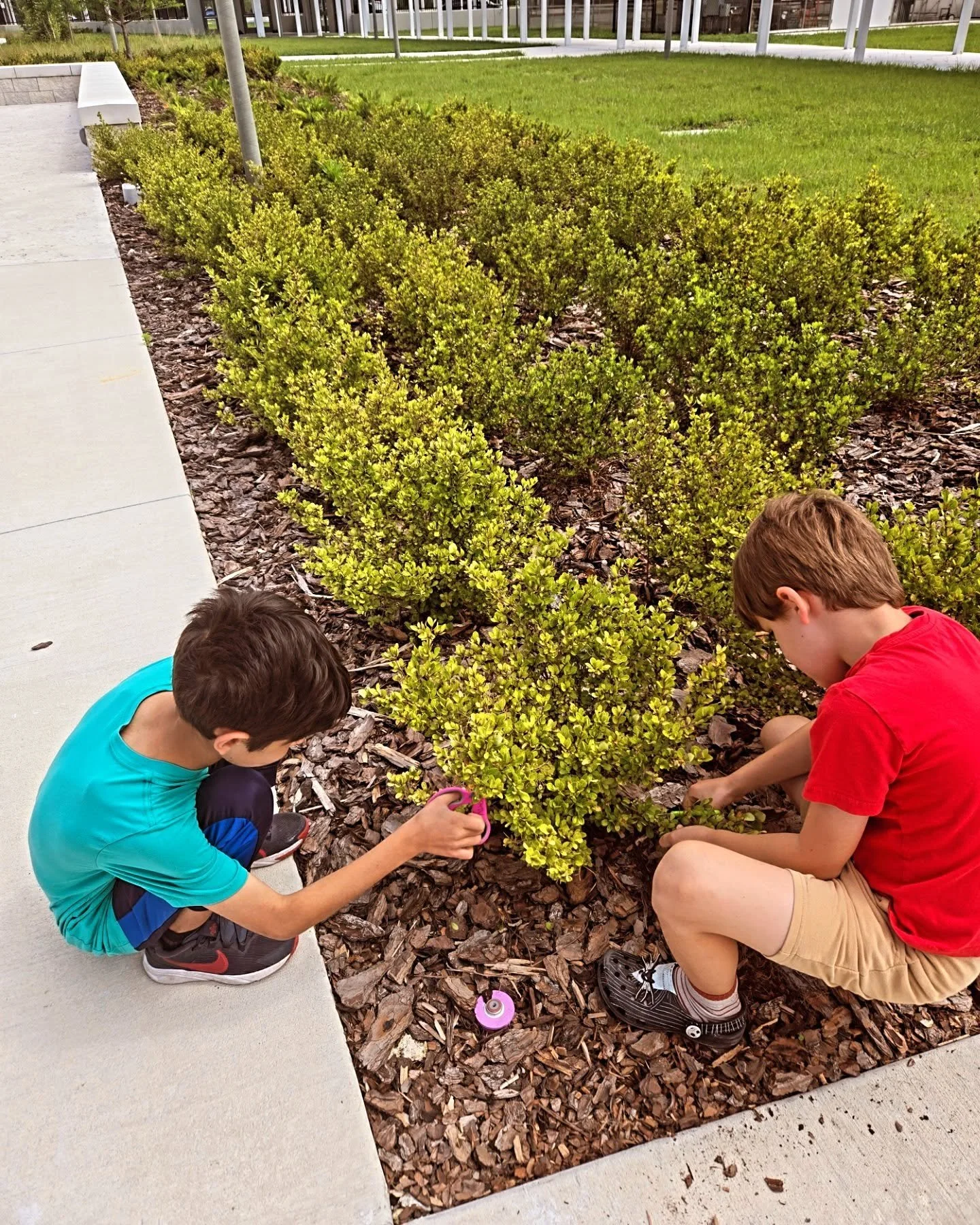 🌿 Week 1: Inspired by Nature 🌿

🌿 Campers went outside to find natural textures for our designs! 🌿

#artcamp #authenticartsorlando #arteducation #summercamp