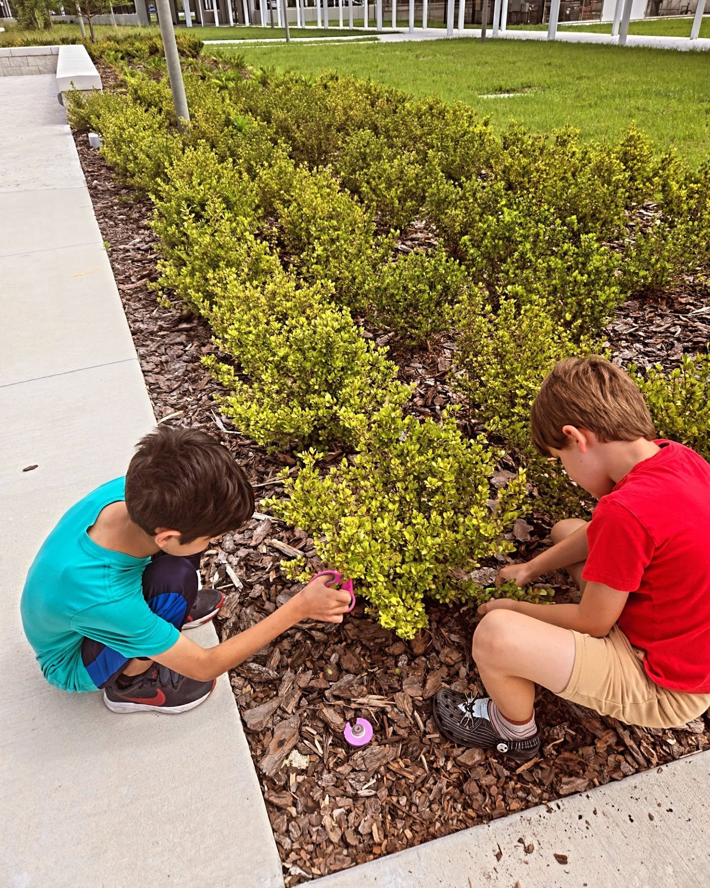 🌿 Week 1: Inspired by Nature 🌿

🌿 Campers went outside to find natural textures for our designs! 🌿

#artcamp #authenticartsorlando #arteducation #summercamp
