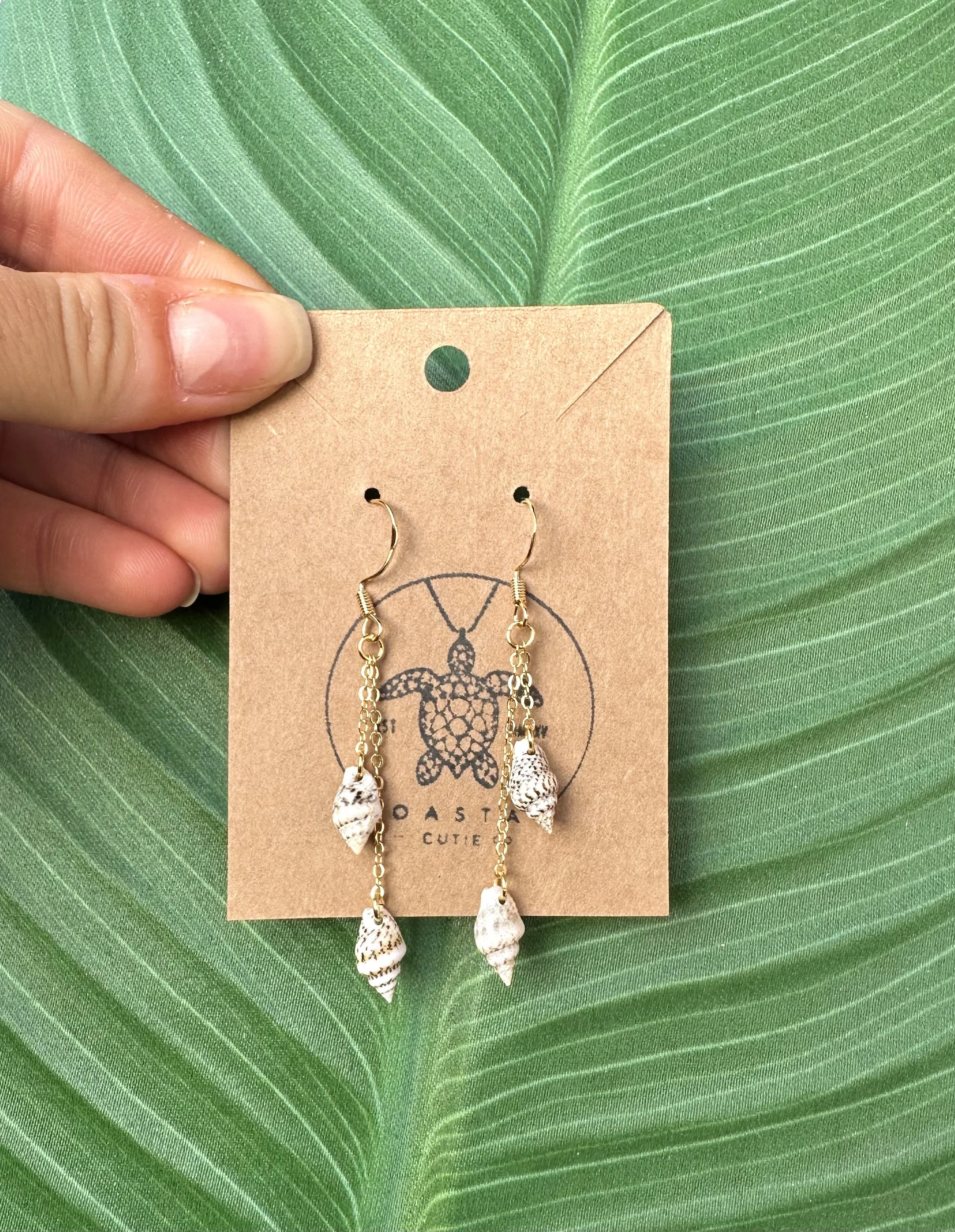 Striped Nassa Earrings
