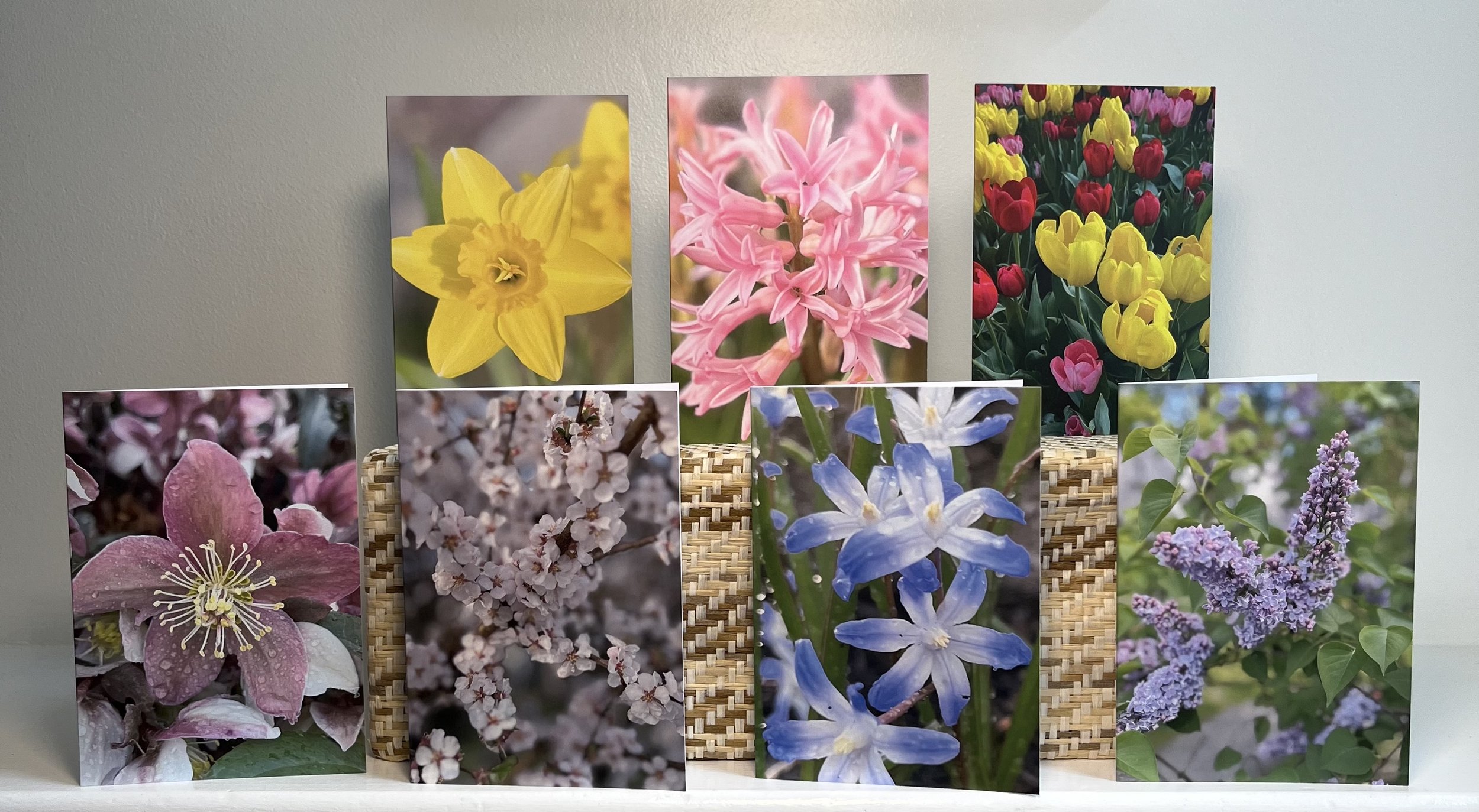 Spring Collection