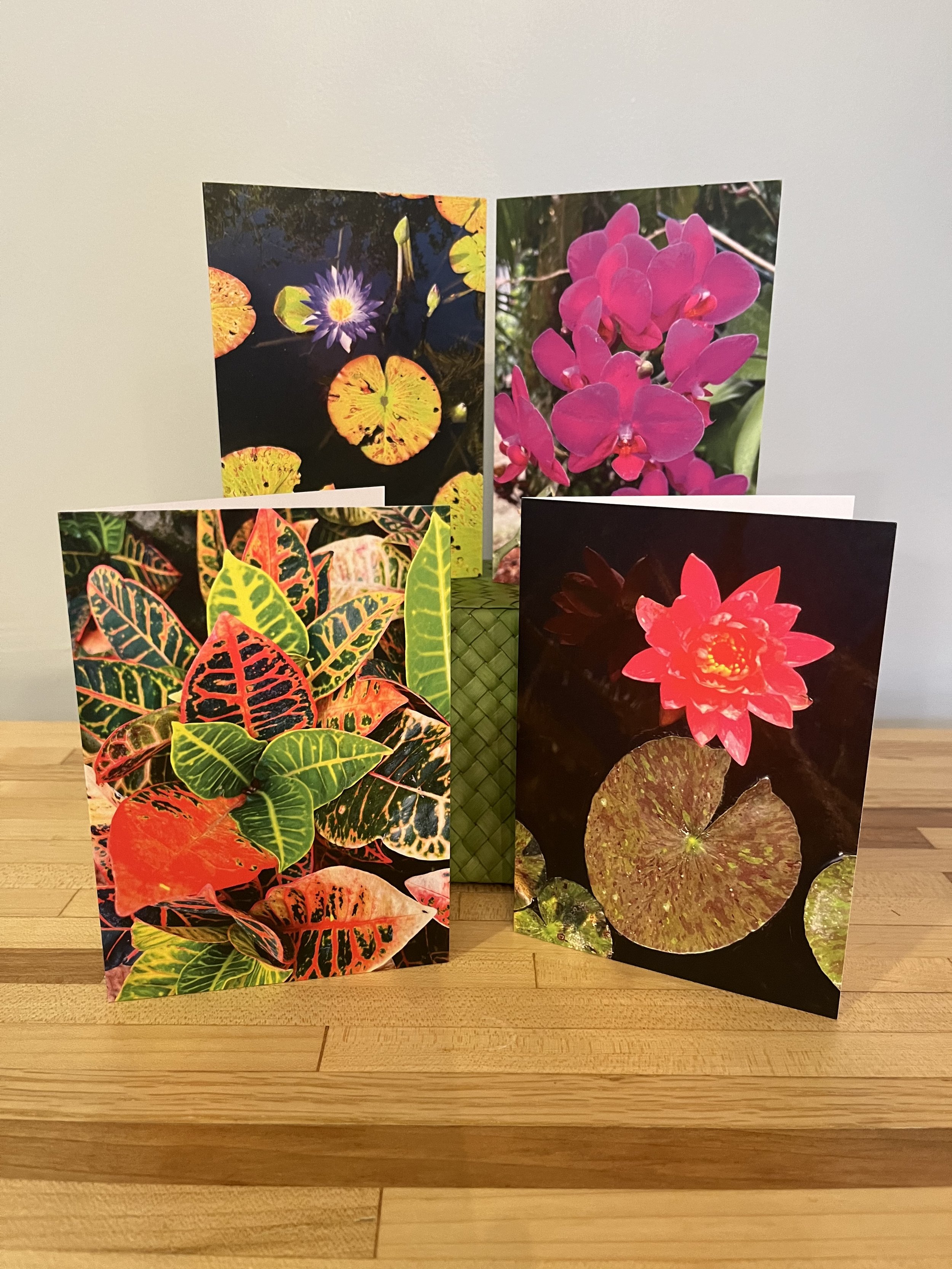 Tropical Collection