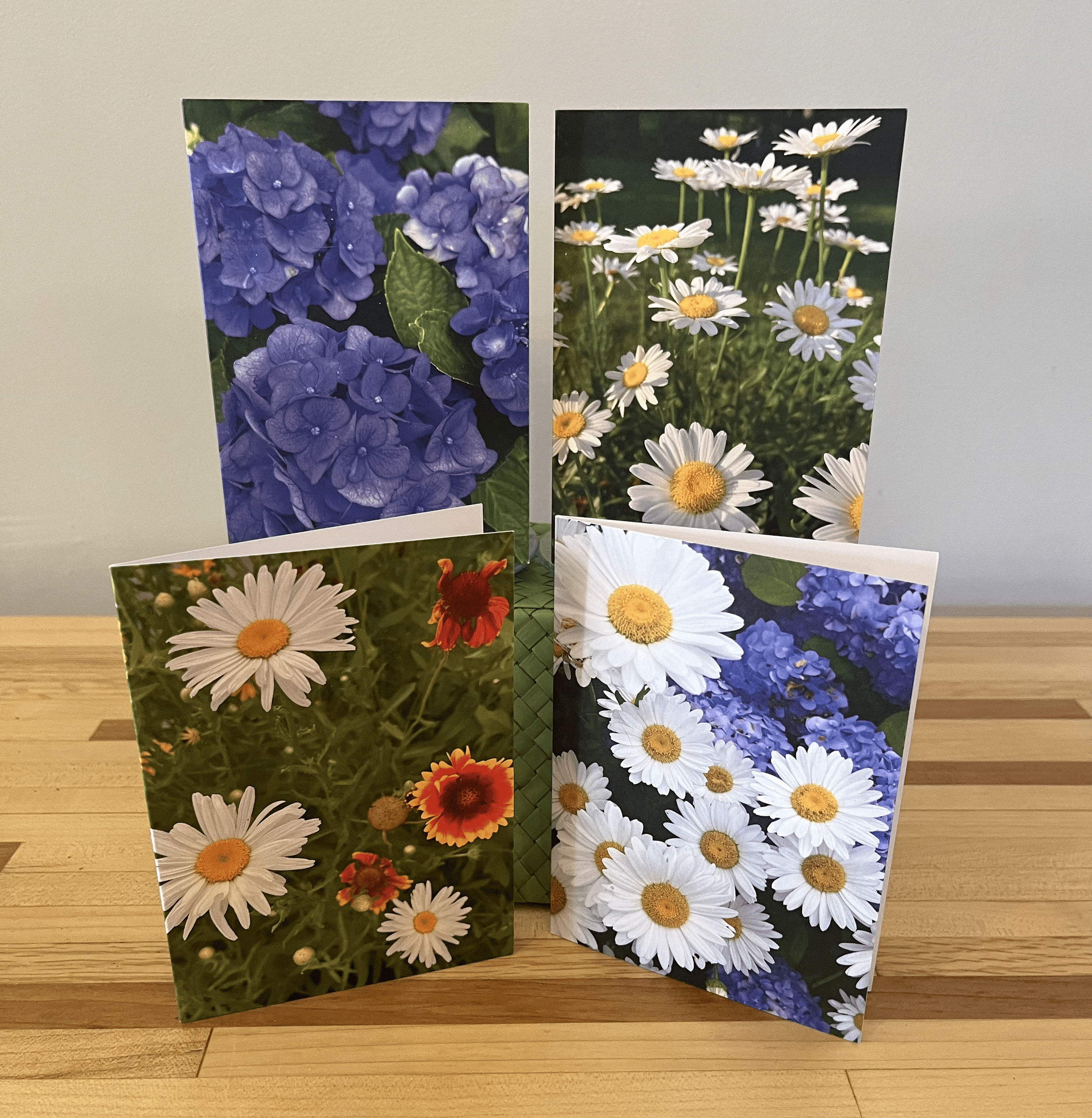 Daisy and Hydrangea Collection