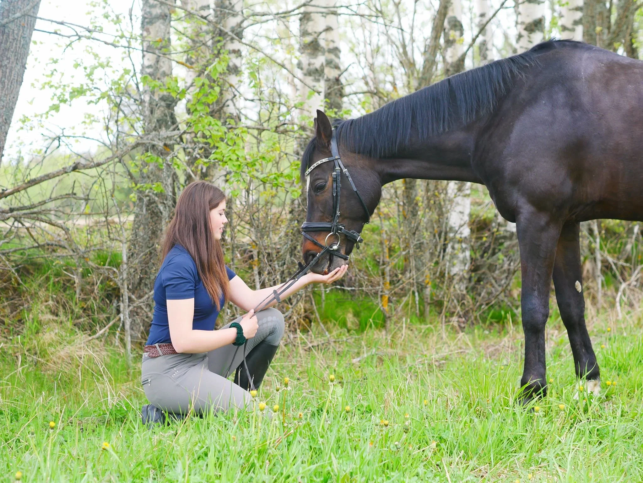 En kvinne som kneler i en grønn eng, holder en svart hest i bånd, og de snakker sammen.