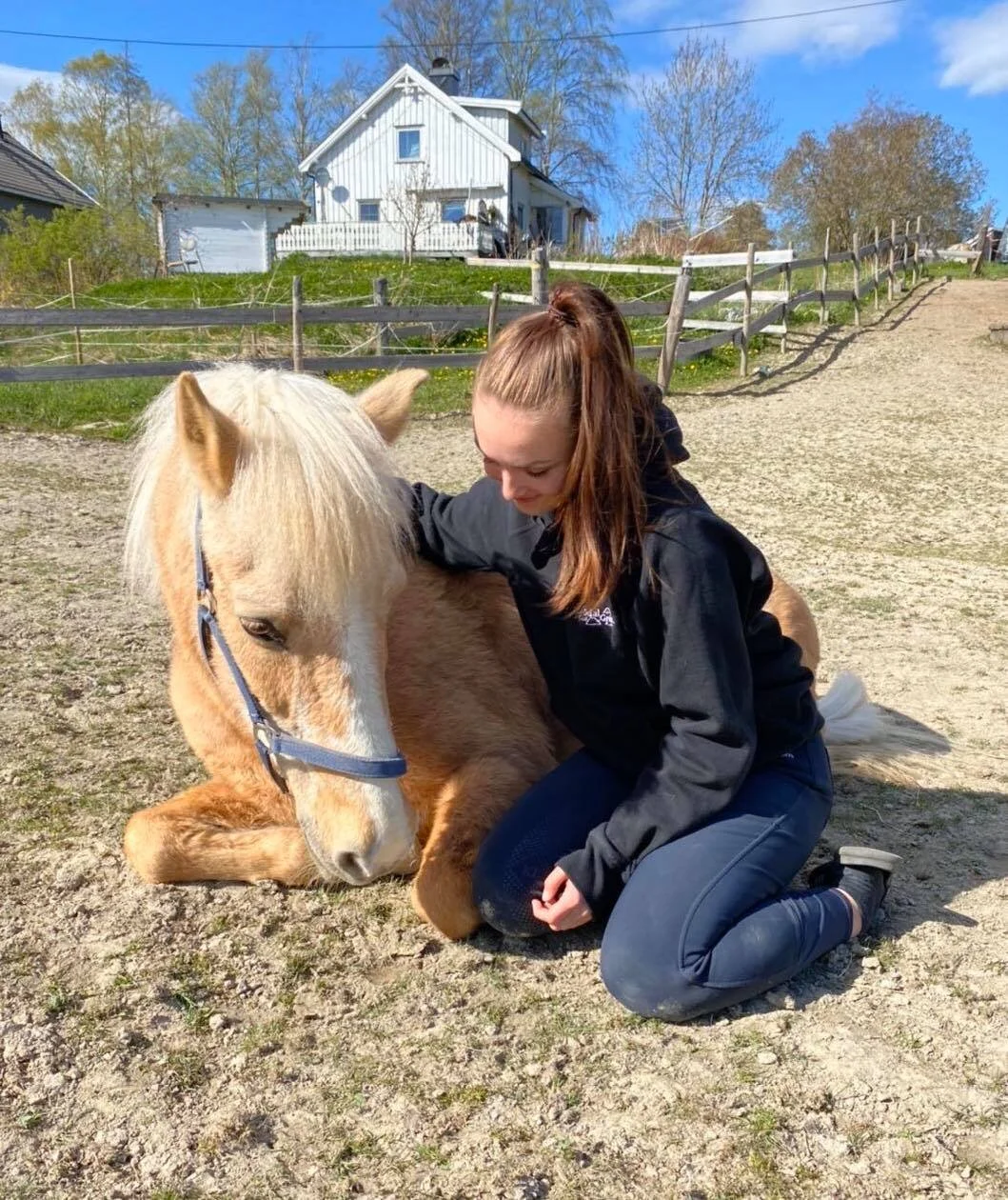En jente som klapper en liten, lys brun hest som ligger på bakken. Det er solskinn, en husvegg og trær i bakgrunnen.