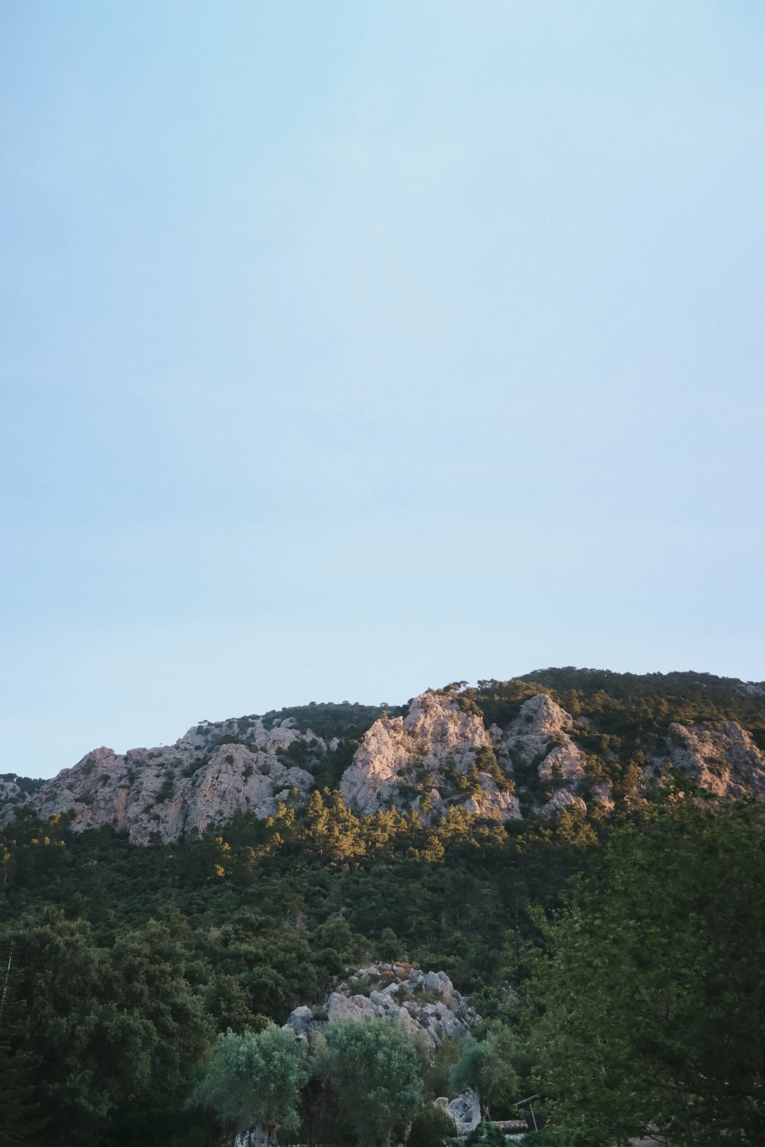 DSCF2815-2.jpg