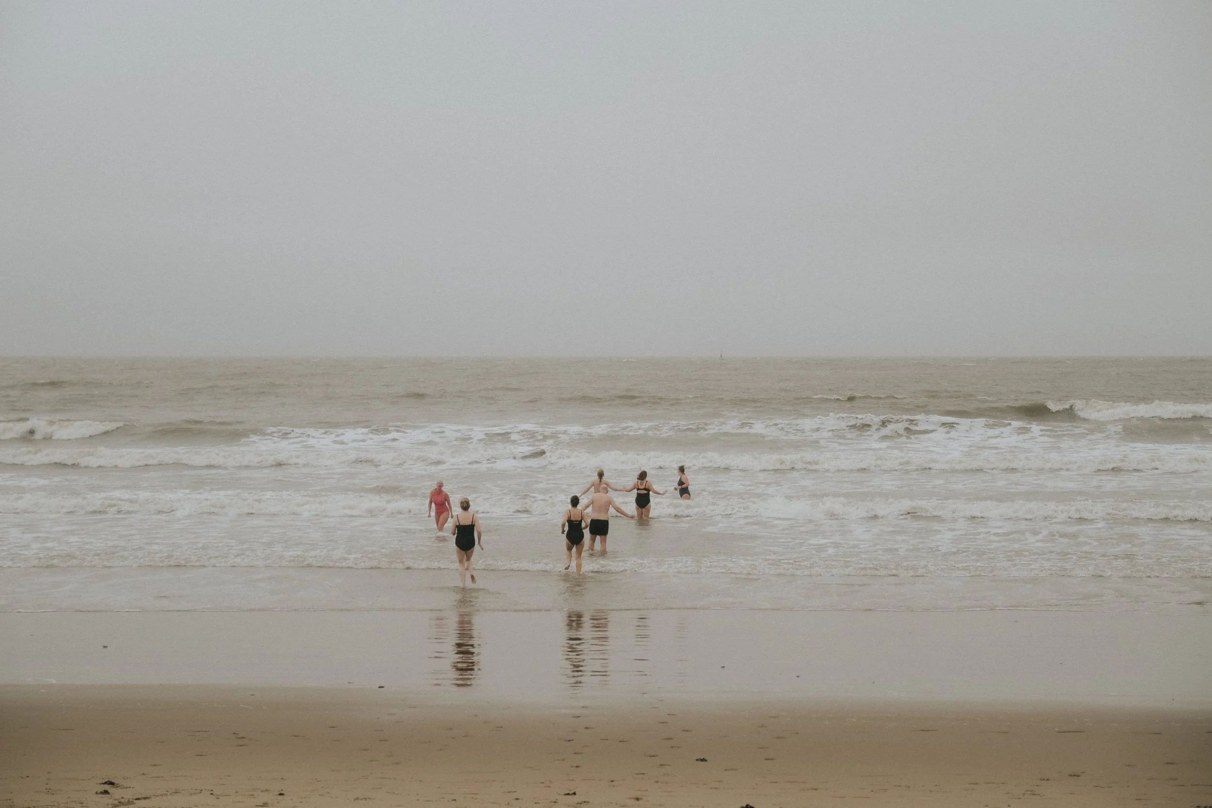 DSCF6495.jpg