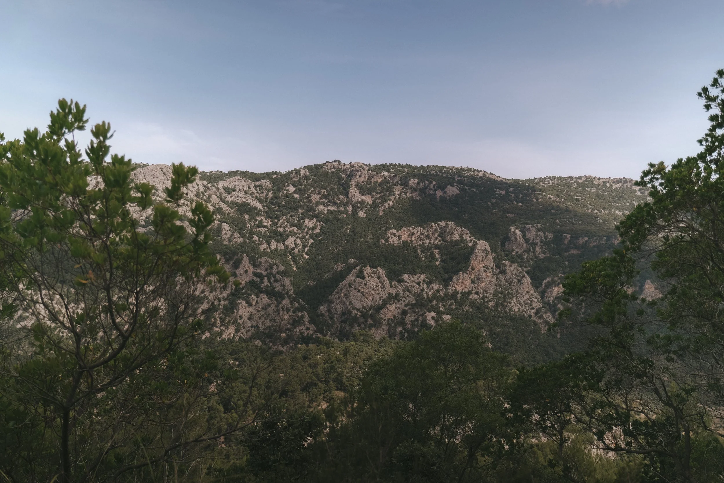 DSCF3227.jpg