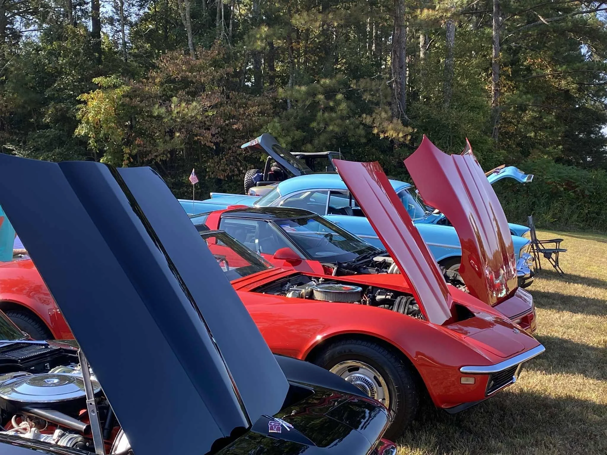 “Taste of TN Car Show”