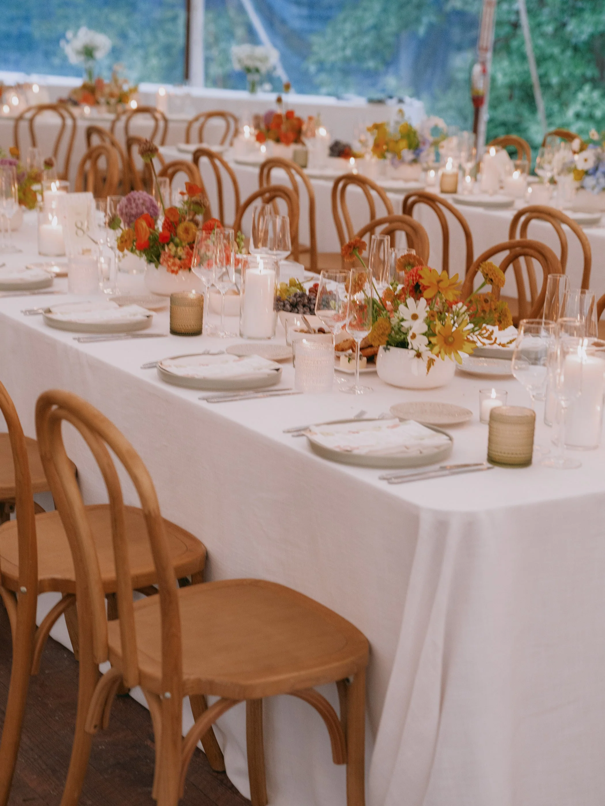 11. Haley  David-0083.jpg