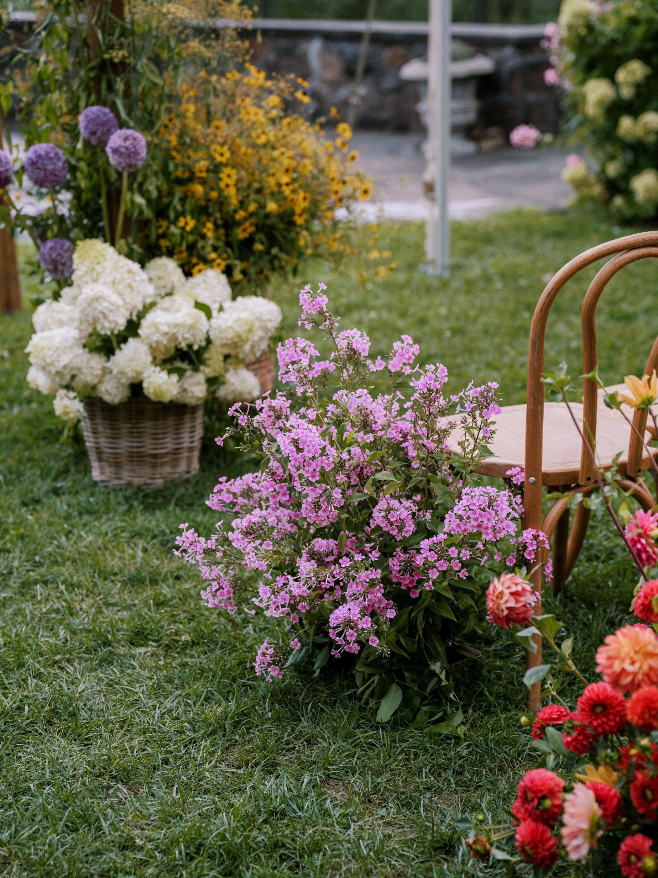 11. Haley  David-0025.jpg