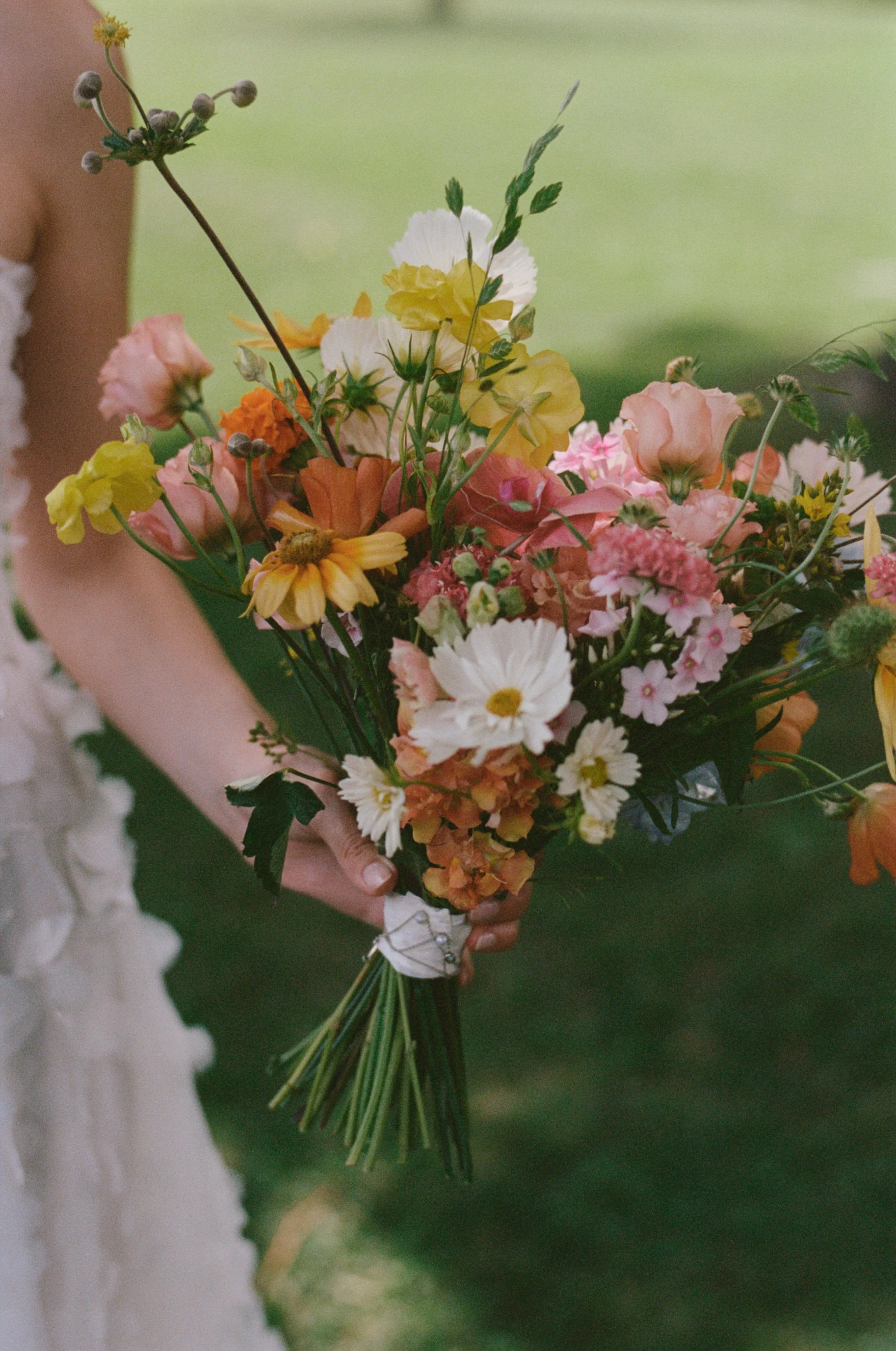 04. Haley  David-0495.jpg