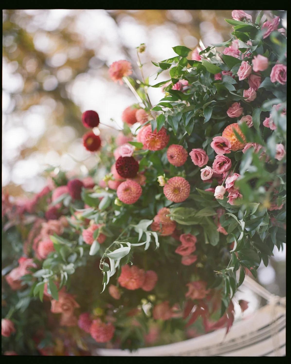 Sydney & Jack-39.jpg