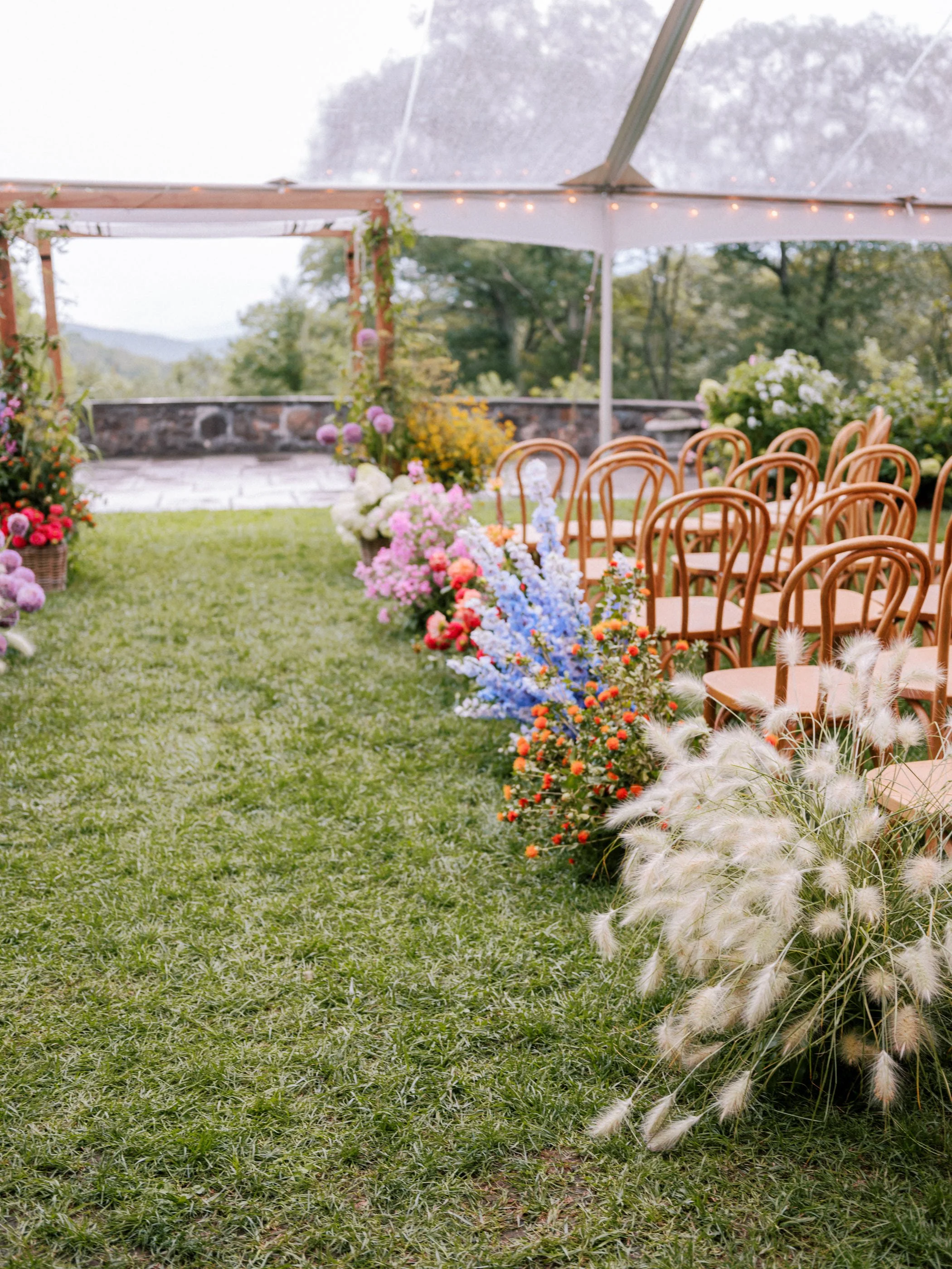 11. Haley  David-0037.jpg