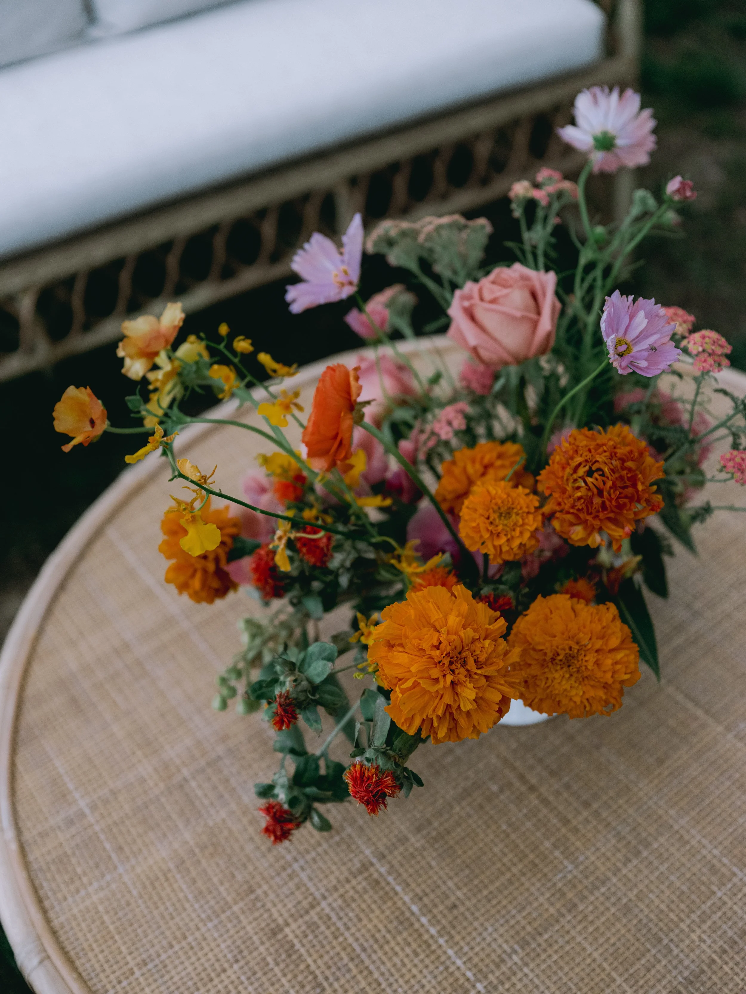 09. Haley  David-0025.jpg