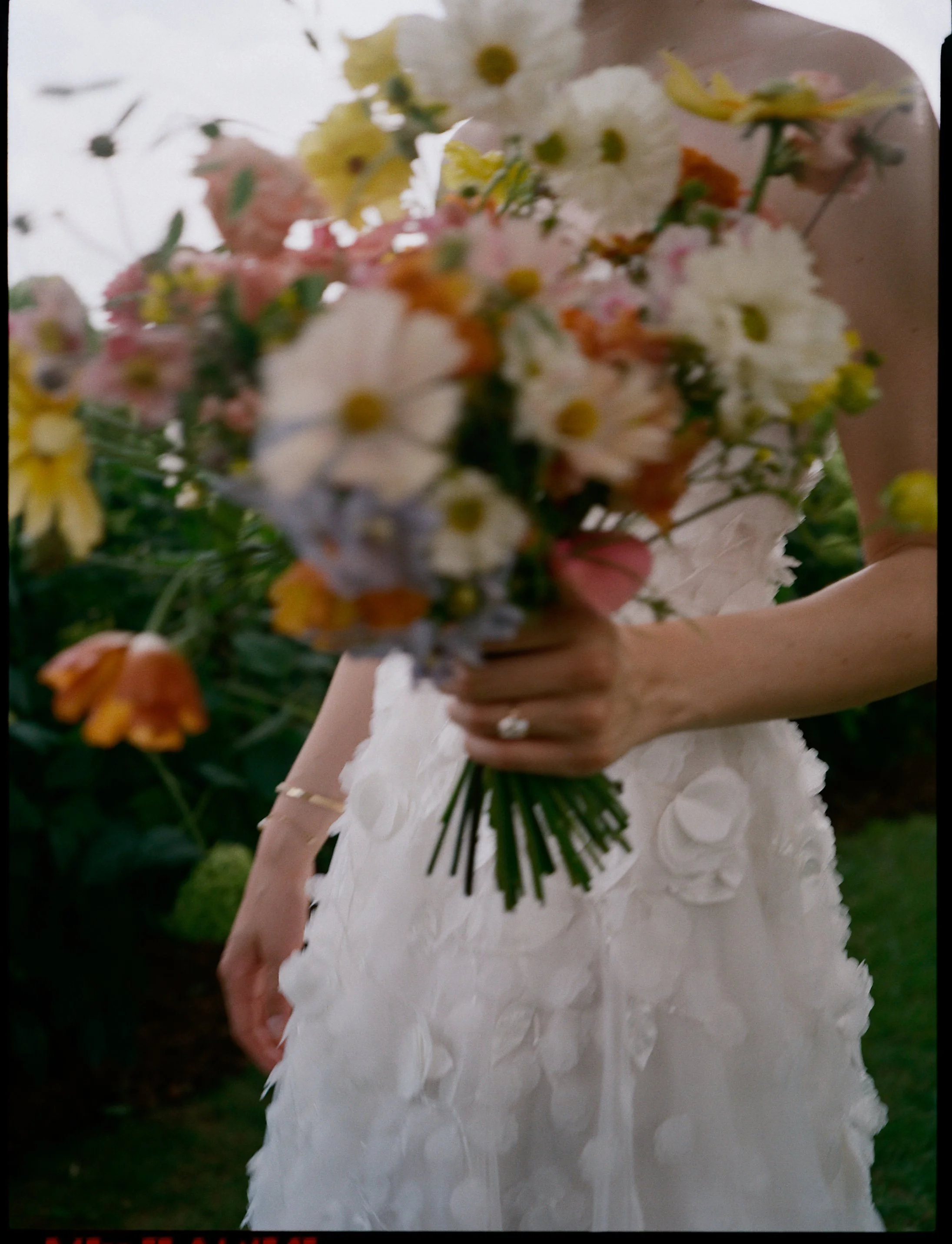 04. Haley  David-0452.jpg