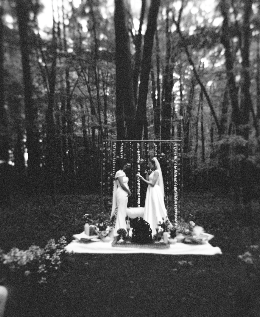 Screenshot 2026-02-18 at 1.59.05 PM.png