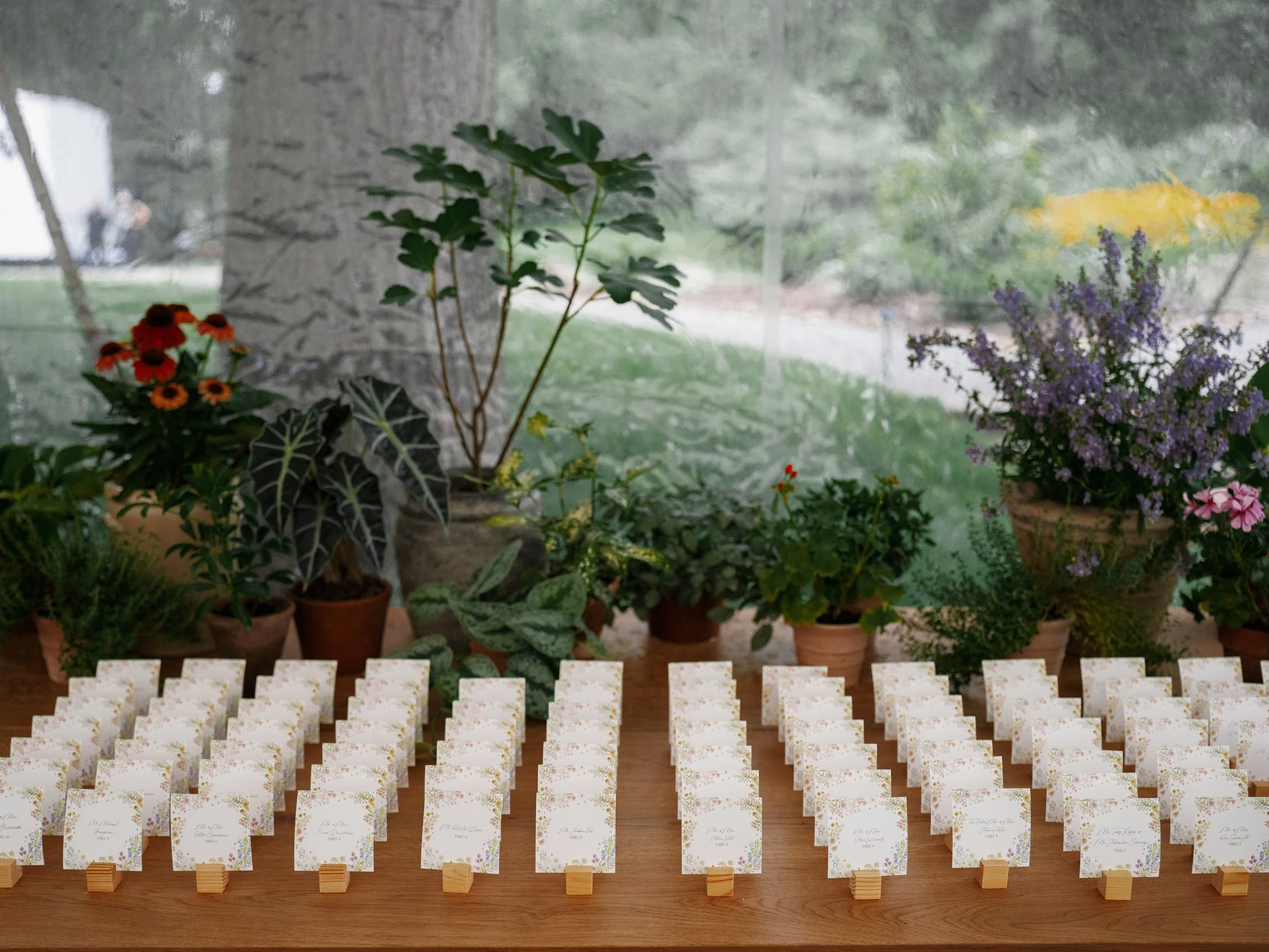 11. Haley  David-0056.jpg