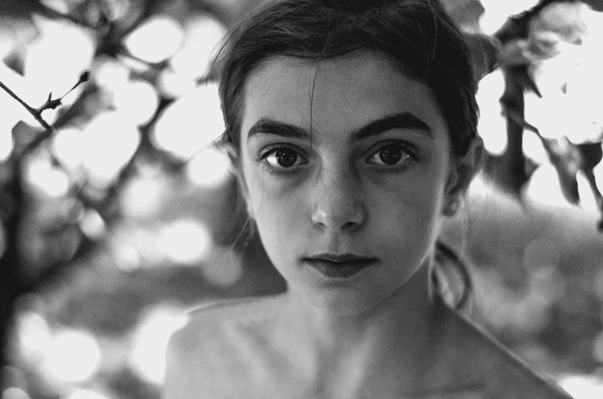 Ambra, 2018