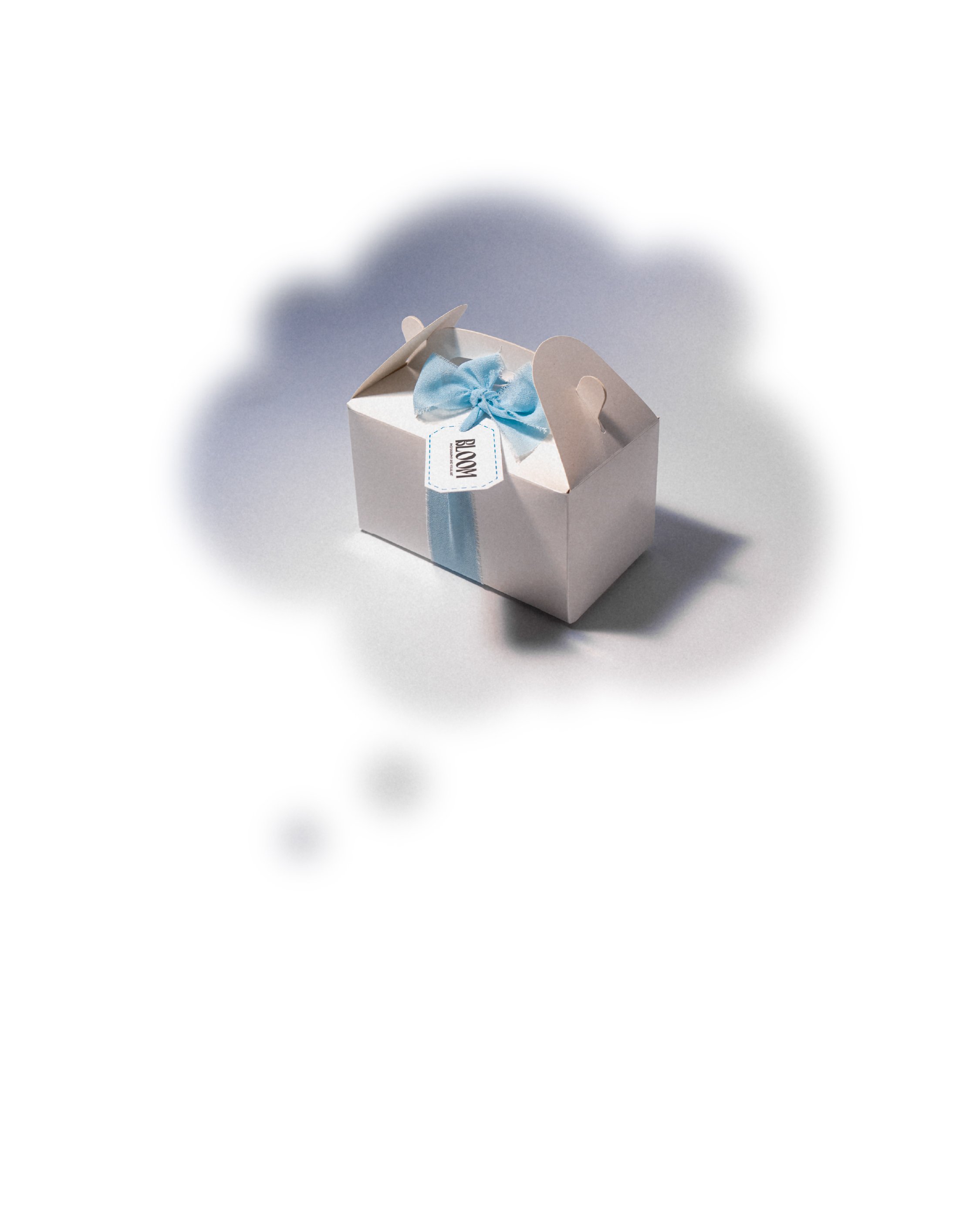 sogno_Tavola disegno 1-09.jpg