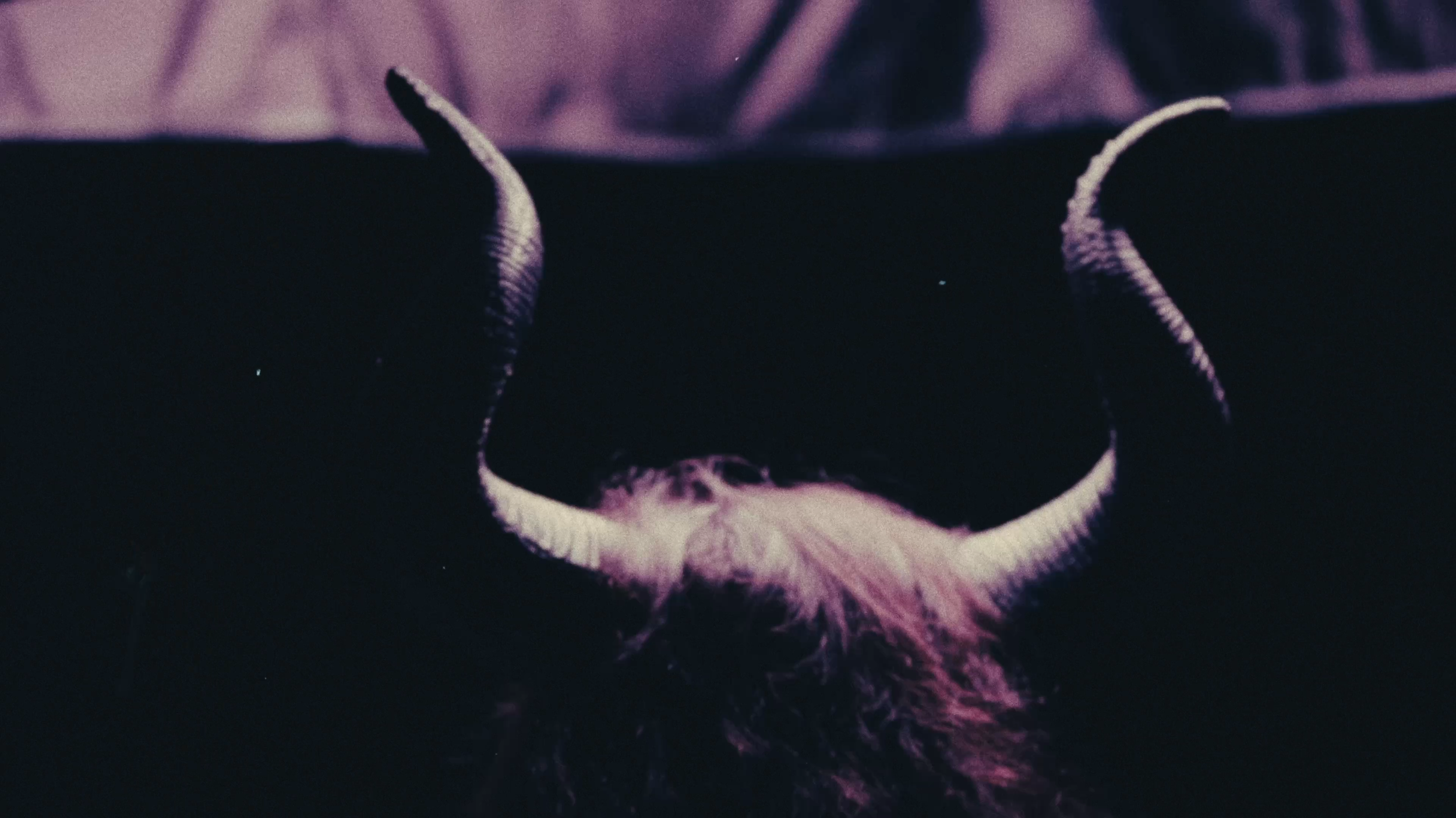 Nightingale Carousel 4.png